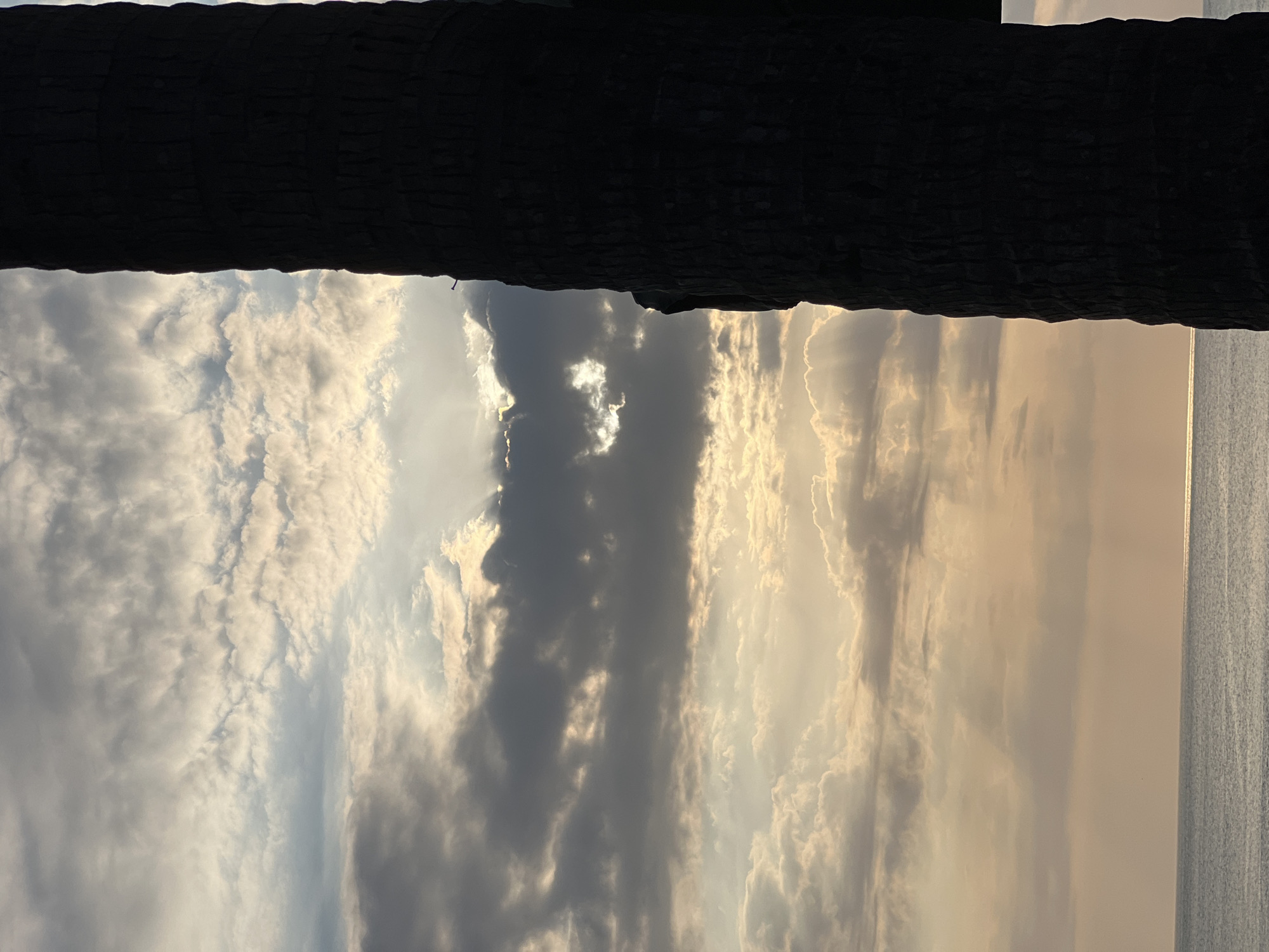 The image depicts a dusky sky over the ocean, with light rays filtering through the clouds. In the foreground, the dark silhouette of a palm tree trunk is visible on the right side of the frame, partially obscuring the sky and ocean. The ocean extends to the horizon, reflecting the muted colors of the sunset. This scene is consistent with the coastal environment of Kuta, Indonesia, known for its beaches and palm trees. There are no people or visible actions occurring in the image.