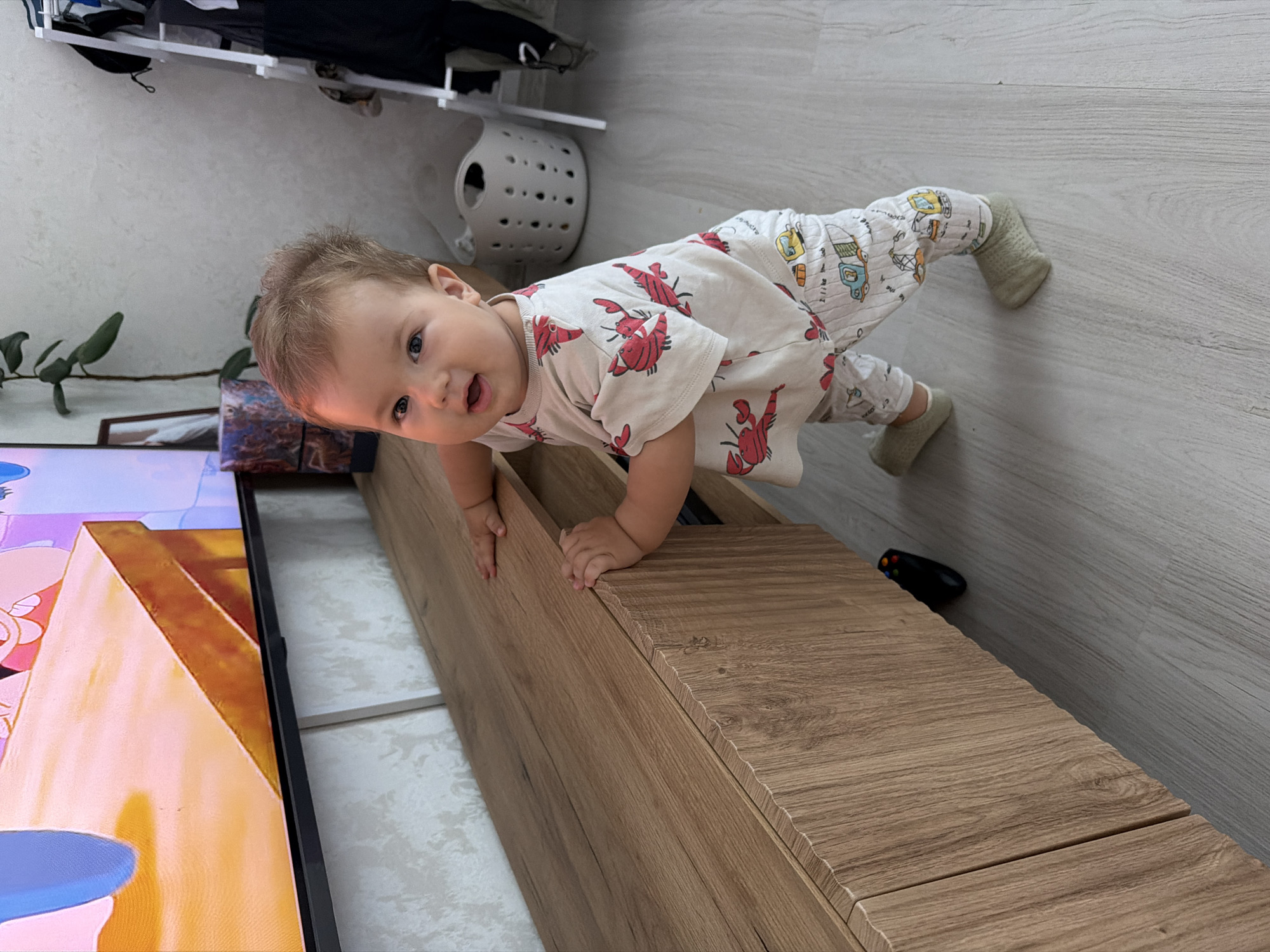 The image captures a toddler, approximately 1-2 years old, standing and leaning on a wooden media console. The toddler is wearing a light-colored shirt with a red lobster print and matching patterned pants featuring vehicles. The toddler has light brown hair and is looking towards the camera with a slight smile. The media console is made of light-colored wood with a textured front. To the left of the console, a large television screen displays a colorful cartoon. In the background, to the right of the toddler, is a white laundry basket with holes and a clothing rack with several items of clothing. A potted plant with green leaves is visible behind the television. The flooring appears to be light-colored laminate. The overall setting suggests an indoor residential environment, likely a living room. There are no specific geographical markers indicating the city of Kazan, Russia, within the image itself.