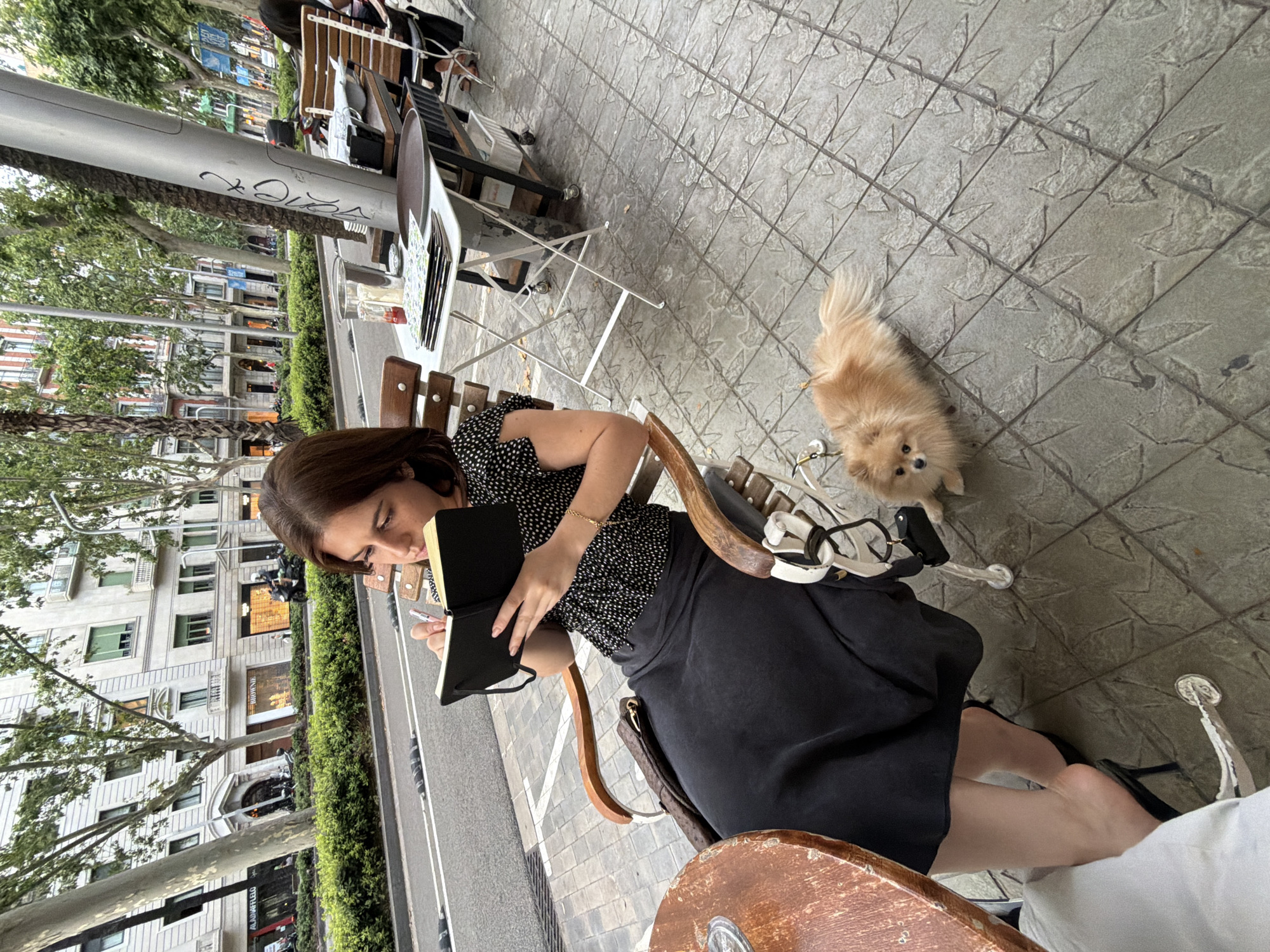 A young woman with brown hair sits at a cafe table on a cobblestone sidewalk in Barcelona, Spain, writing in a black notebook. She is wearing a black polka dot top and a long black skirt, and black high heels. A small, fluffy orange Pomeranian dog lies on the sidewalk next to her. The cafe has outdoor seating with white tables and chairs. In the background, there is a street with traffic and a row of trees and buildings. The architecture suggests a European city, consistent with Barcelona.