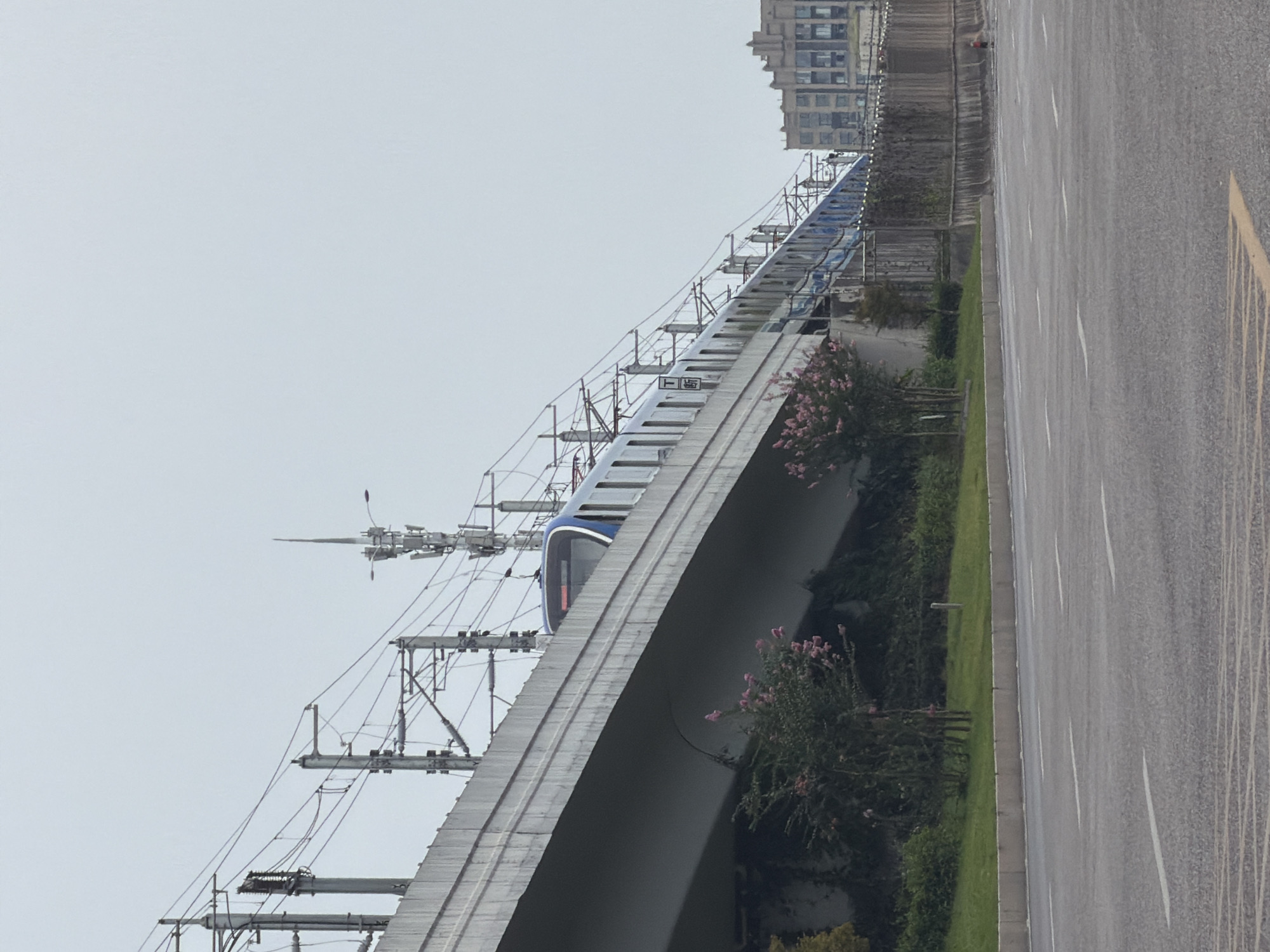 In Jiangjin, China, a blue and white elevated train travels along an overpass. The train is partially obscured by the overpass structure, which is supported by concrete pillars and lined with electrical wires and utility poles. Below the overpass, a lush green slope is covered with vegetation and flowering bushes. A paved road with white lane markings runs in the foreground, with a concrete barrier separating it from the slope. In the background, a multi-story building with architectural details stands against a pale, overcast sky.