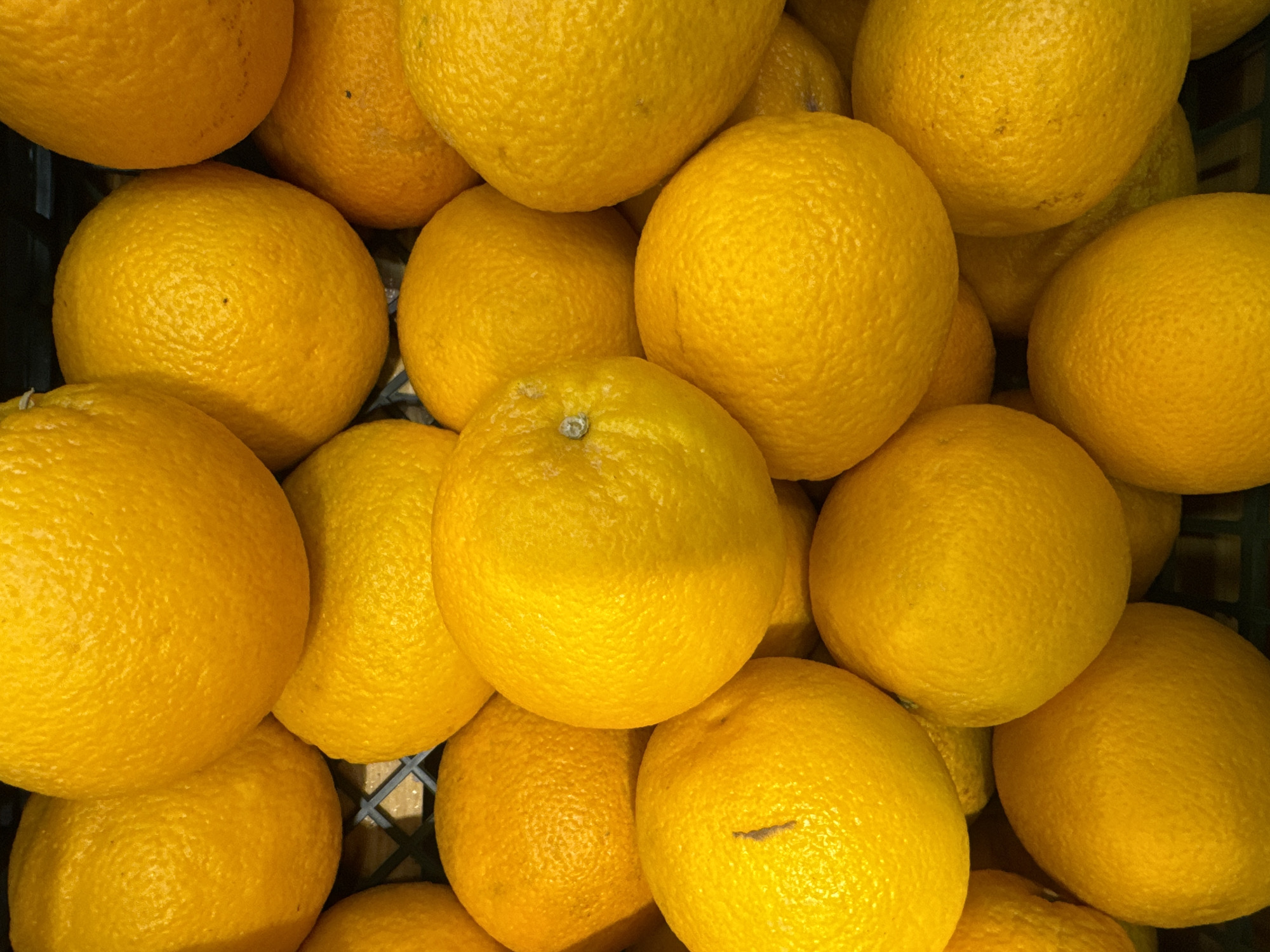This is a close-up, top-down photograph of a large pile of bright yellow oranges, filling the frame. The oranges are round and have a textured, dimpled rind. They are densely packed together, creating a visually appealing mound of citrus fruit. Some oranges are partially obscured by others, emphasizing the abundance. The lighting appears bright, highlighting the vibrant color of the fruit. There is no visible text, people, or specific indications of time of day or weather. The setting appears to be a market or grocery store, suggested by the way the oranges are piled and the dark background which could be a crate or shelf. The image conveys a sense of freshness and natural bounty.