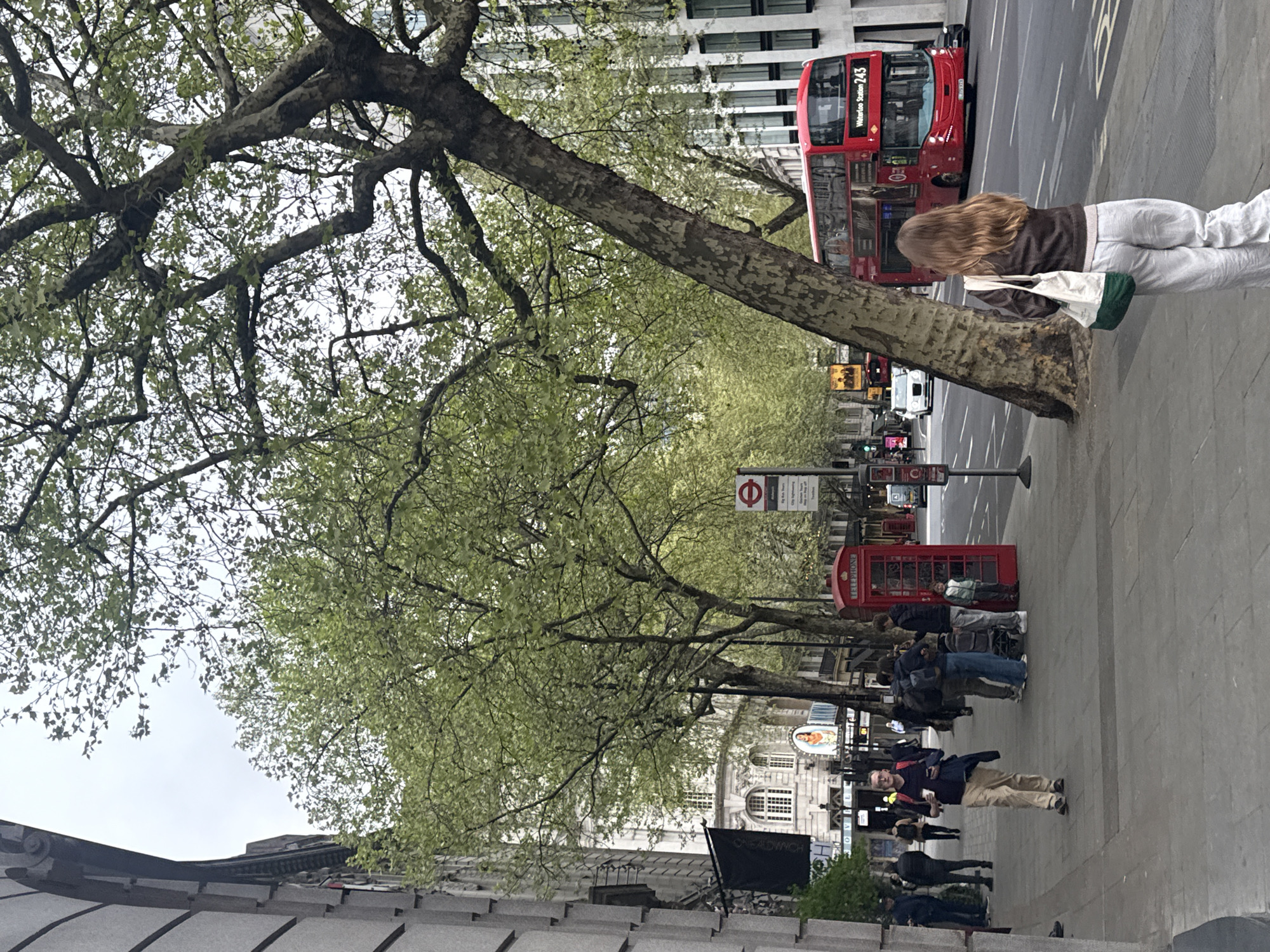 The image captures a street scene in London, United Kingdom. A red double-decker bus and iconic red telephone boxes are visible along the sidewalk. Trees with light green foliage line the street. Several pedestrians are walking along the sidewalk, including one woman standing near a tree looking at her phone. Buildings with modern and classic architecture are seen in the background. A London Underground sign is also visible. The setting appears to be a busy urban area, likely a tourist destination.