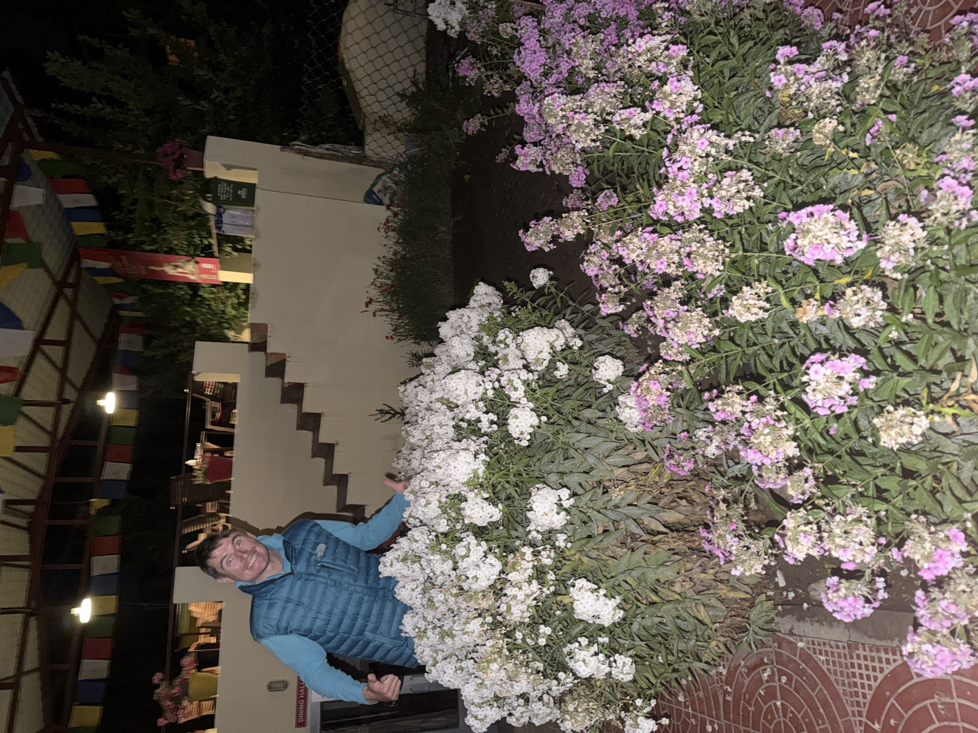 A man, smiling and giving a thumbs up with both hands, stands in front of a large bush of white flowers. He is wearing a blue puffer vest over a light blue long-sleeved shirt. Behind him, a beige building has stairs leading up to a patio with tables and chairs. Prayer flags are strung across the top of the structure. The scene appears to be a courtyard or garden at night, possibly in Leh, India, given the presence of prayer flags and the architectural style.