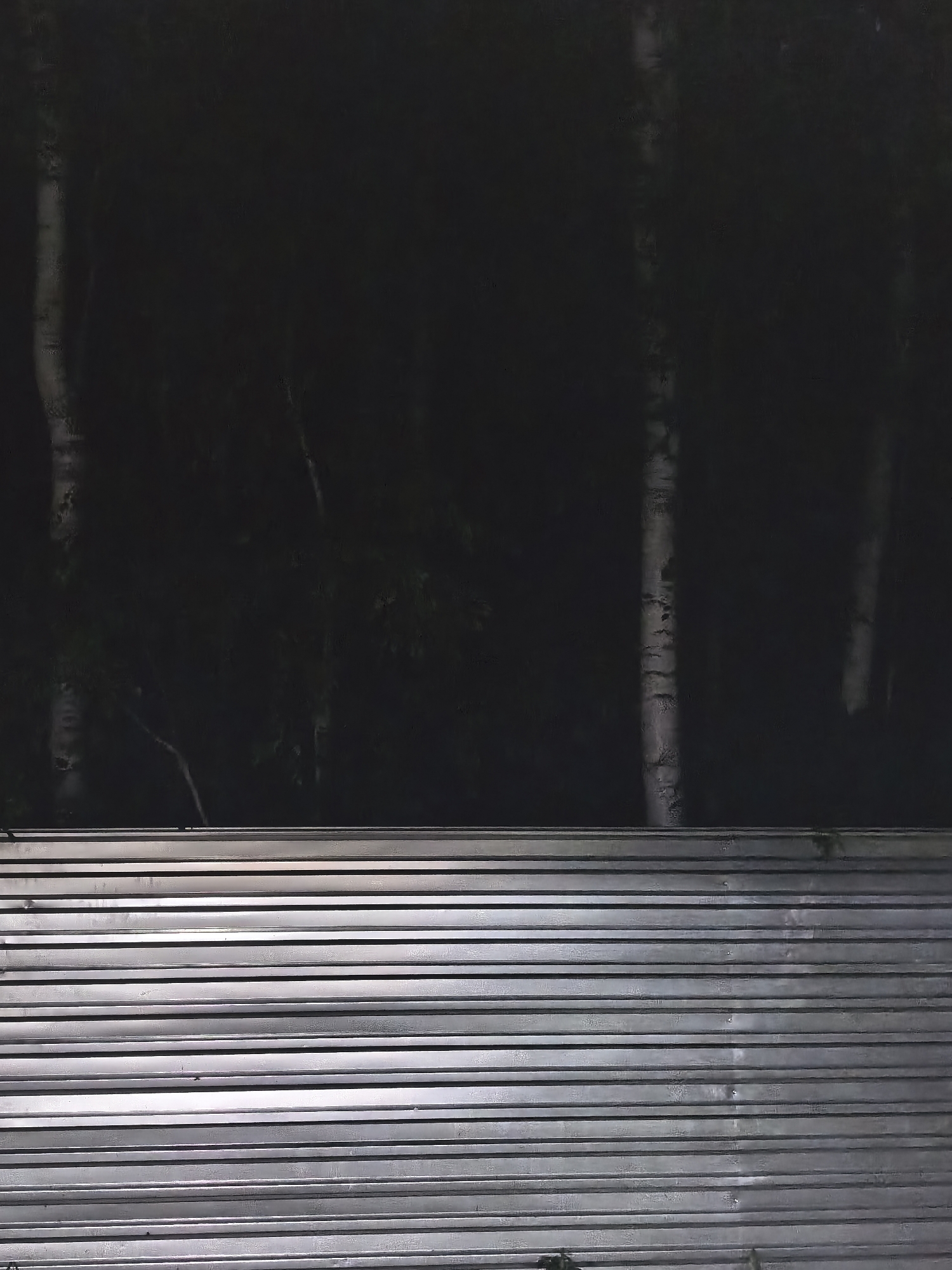 The image depicts a dark, nighttime scene in Белоярская Застава, Russia. In the background, several tall, slender trees with pale bark are visible against a very dark, indistinct forest. The foreground is dominated by a corrugated metal fence, which runs horizontally across the lower half of the image. The metal appears to be silver or galvanized, and it reflects light, creating horizontal highlights. Some sparse vegetation is visible at the bottom edge of the fence, suggesting it is outdoors. The overall impression is one of a somewhat stark, utilitarian barrier in front of a natural, darkened landscape. There are no people or discernable animals in the image.
