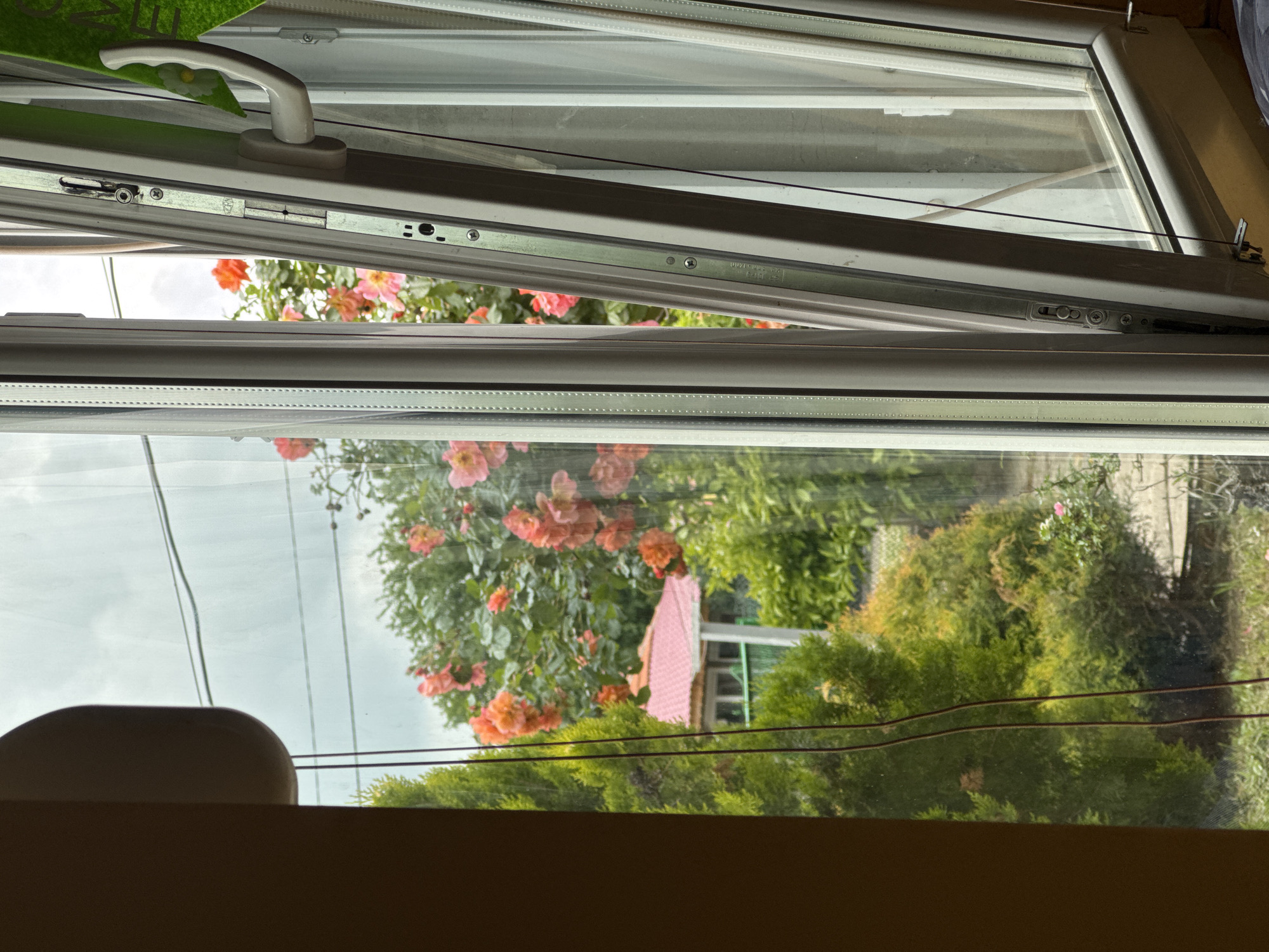The image shows a view through a partially opened window in Drenovets, Bulgaria. Outside, a garden is visible with orange and pink flowering bushes, along with other green foliage. A section of a building with a red roof and green trim can be seen in the background. Overhead power lines are visible crossing the window's view. The window itself is white PVC.