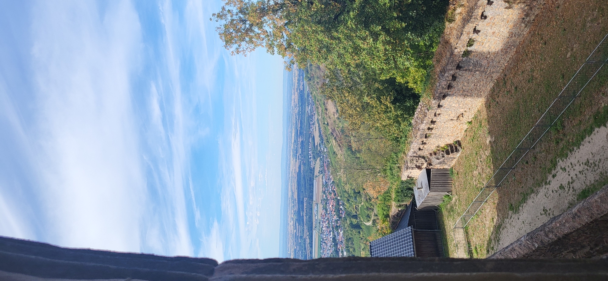 The image depicts a panoramic view from a high vantage point, possibly a castle or fortification, overlooking the city of Bensheim, Germany, and its surrounding landscape. The foreground features a stone wall, characteristic of ancient structures, with a path and grassy area extending beyond it, enclosed by a metal fence. To the left, a wooden structure with a dark roof and solar panels is visible. In the mid-ground, the wall continues, adorned with small openings or crenellations. A lush green tree stands prominently on the right side of the image, its branches reaching towards the sky. Beyond this, a vista unfolds, showcasing a town with red-tiled roofs nestled in a valley, agricultural fields with varied textures and colors, and a hazy horizon. The sky is a vibrant blue, streaked with wispy white clouds, suggesting a clear and pleasant day.