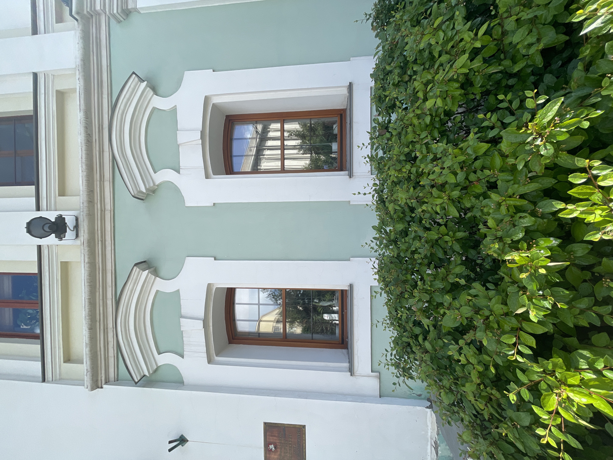 The image shows a close-up, eye-level view of a light green building facade with two windows and an overgrown green bush in the foreground. The building appears to be old, with decorative white trim around the windows and along the top of the facade. The windows are framed with dark wood and have multiple panes. Reflections of trees and a yellow building are visible in the glass of the windows. A dark plaque is mounted on the white section of the building to the left of the left window. The bush in the foreground is dense and leafy, with some branches extending into the lower part of the windows. The lighting suggests it is daytime, with sunlight illuminating the leaves of the bush. The scene is devoid of people.
Based on the visual elements, specifically the architectural style and the presence of the plaque with Cyrillic script, this location is identified as **The State Tretyakov Gallery (New Tretyakov Gallery branch) on Krymsky Val, Moscow, Russia.** The plaque is likely informational, possibly about the building's history or an exhibition. The light green color of the facade and the distinctive decorative window trims are characteristic of this Moscow landmark.