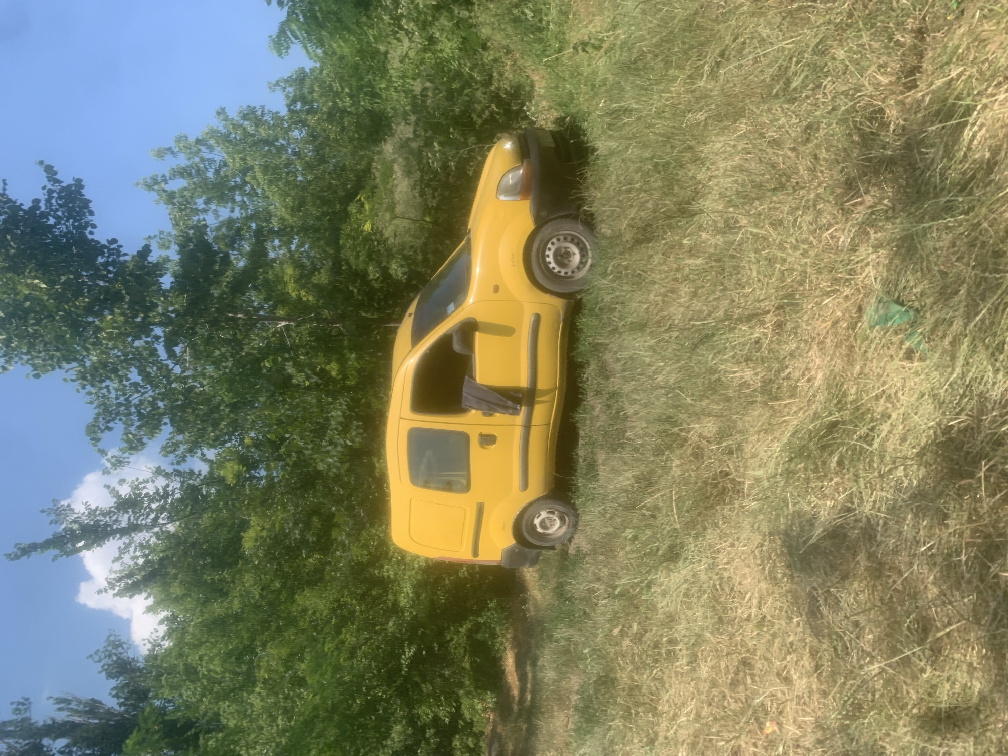 A bright yellow panel van is parked on a grassy area in front of dense green foliage, with tall trees and a clear blue sky visible in the background. The van appears to be a Renault Kangoo, and a dark piece of fabric, possibly clothing, is hanging out of the driver's side window. The grass is tall and somewhat dry in places, suggesting a summer or late spring setting. The overall impression is a vehicle left in a natural, somewhat overgrown environment. The location is identified as Kosy, Ukraine.