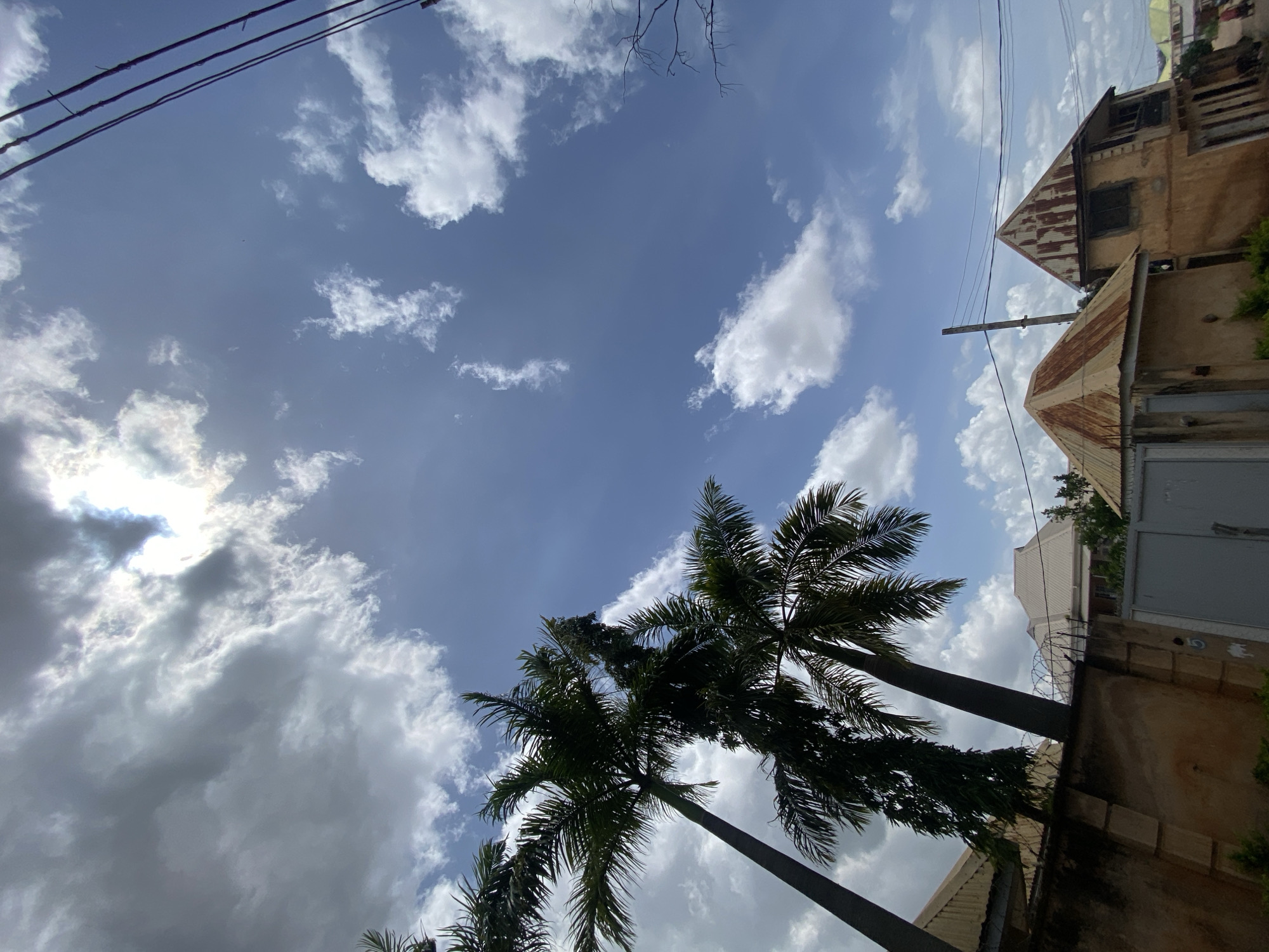The image is a low-angle shot of a partly cloudy sky over a residential area in Gura Top, Nigeria. Two tall palm trees with dark green fronds dominate the left side of the frame, reaching towards the sky. The sky itself is a vibrant blue, interspersed with fluffy white cumulus clouds and darker, more diffused clouds. Sunlight breaks through the clouds in some areas, creating rays of light. In the foreground, a section of a beige, textured wall with a barbed wire fence on top is visible, and beyond it, several structures with corrugated metal roofs, some of which appear rusted, are present. One building on the right has a weathered, yellowish facade and visible window openings. Overhead power lines stretch diagonally across the upper right portion of the image. The scene appears to be an outdoor, daytime environment in a built-up area with vegetation.