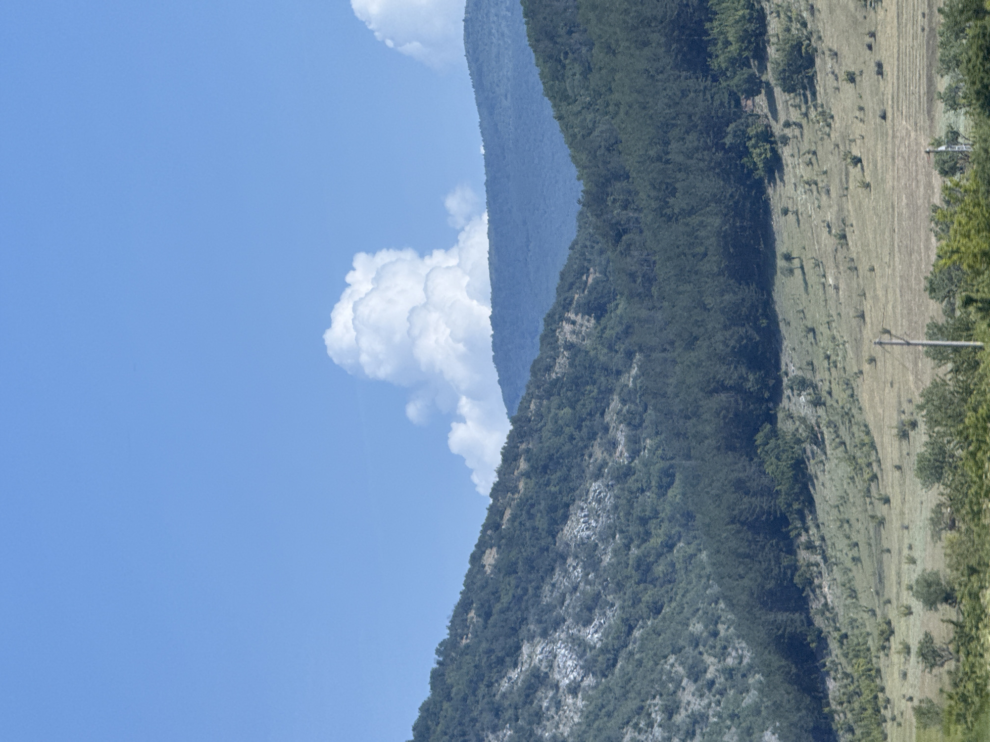 This image depicts a multi-layered landscape under a bright, partly cloudy sky. The upper two-thirds of the frame consists of a clear, light blue sky featuring several white cumulus clouds, with a notably large, vertically developed cloud positioned centrally in the upper mid-frame.
The midground is dominated by two distinct mountain or hill ranges. On the left, a steep slope is heavily covered in dark green deciduous vegetation, interspersed with patches of lighter, possibly rocky or barren ground. To its right, and slightly further back, a denser range of hills is covered by a dark green forest, appearing coniferous in parts. In the distant background, a third, hazier mountain range presents a muted blue-grey silhouette, indicating atmospheric perspective.
The lower third of the image showcases a gently sloping, open field or pasture. The ground is characterized by dry, yellowish-brown grass mixed with patches of greener vegetation. Numerous small, isolated trees and shrub-like plants are scattered across this field. A dense line of dark green trees forms a clear boundary between the open field and the forested hills above.
Man-made elements include a vertical utility pole, light in color, positioned on the lower left side of the frame, partially obscured by foreground foliage. In the lower right section of the field, faint, parallel horizontal lines suggest agricultural activity or tracks. No human figures or animals are visible. The scene is brightly lit, indicative of daylight conditions. The described location of this scene is in the city of Seliminovo, Bulgaria.