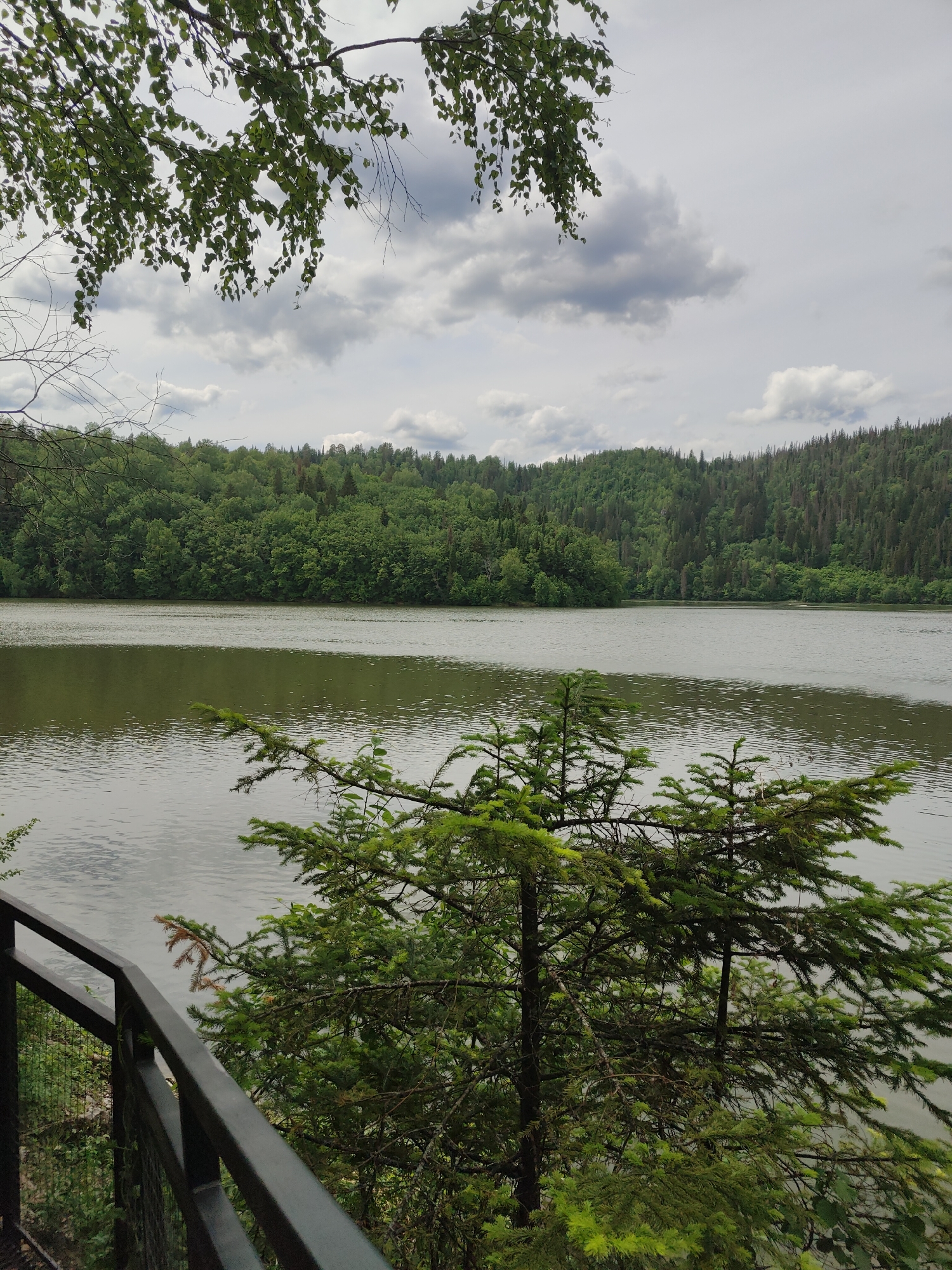 A landscape photograph depicts a still body of water surrounded by dense forest under a cloudy sky. The foreground contains dark metal railings of a viewing platform, with partial obscuration by coniferous trees. The body of water extends to the midground, reflecting the overcast sky and surrounding foliage. Across the water, a forested hillside rises. The sky is filled with light and dark gray clouds. The scene is likely located in a natural setting, potentially near Sim, Russia given the prompt. There is no sign of people, animals, or movement in the image.