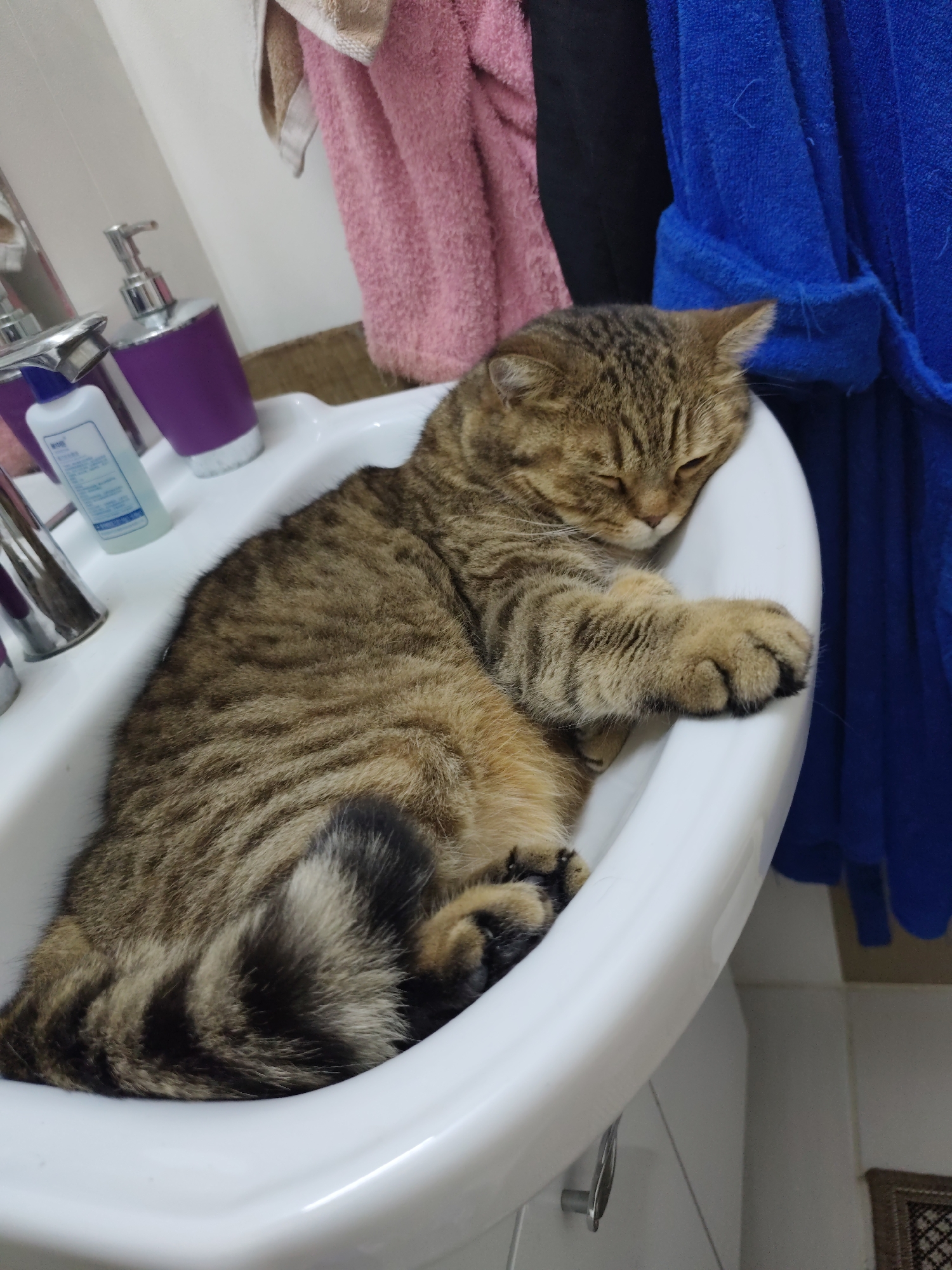 An adult tabby cat is sleeping curled up in a white porcelain sink. The cat has brown and black stripes and is resting its head on the edge of the sink, with one paw extended. In the background, to the left of the sink, are a soap dispenser with a purple base and a white bottle with a blue label. Behind the sink, a pink towel and a blue robe are hanging. The scene appears to be a bathroom. There is no information in the image that indicates its location in Komsomolsk-on-Amur, Russia.