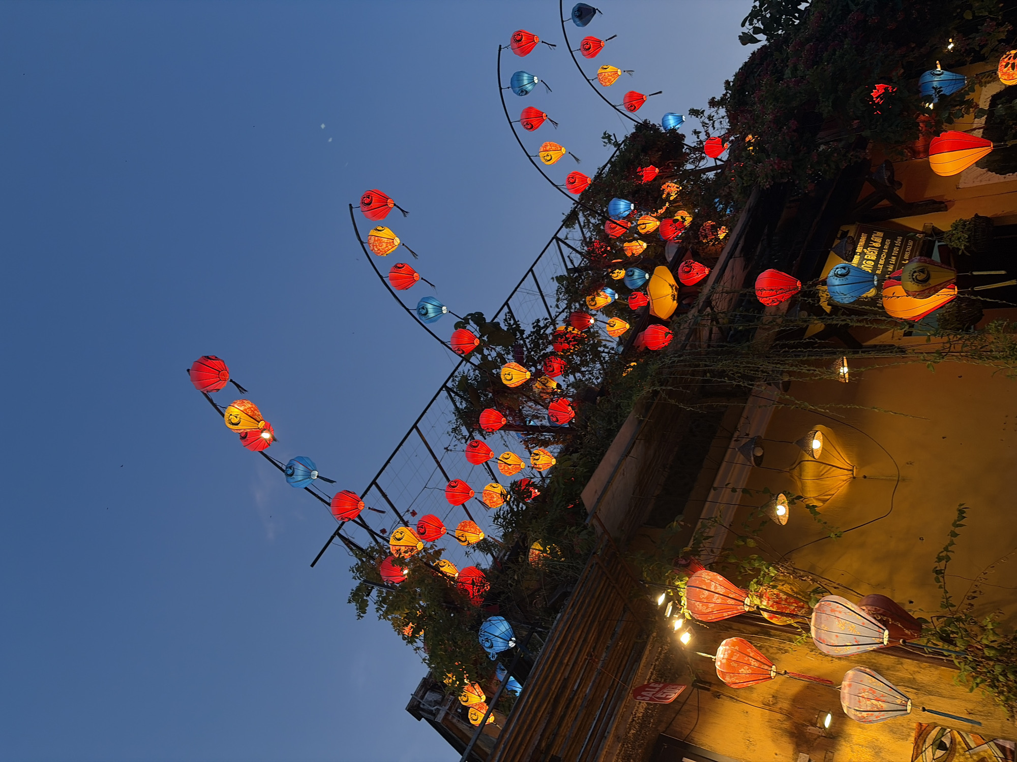 The image presents a vibrant evening scene in Hội An, Vietnam, characterized by a multitude of illuminated traditional lanterns against a transitioning twilight sky. The sky is a clear, deep indigo, indicating either dusk or early evening.
Numerous lanterns, in shades of red, yellow, and blue, dominate the upper and central parts of the frame. Many are spherical with visible patterns, while others are elongated or accordion-shaped. They are strung on wires and metal frames that crisscross above what appears to be a street or alleyway. Additional lanterns and string lights adorn the façade of a building on the right, which is painted a warm yellow color. Green foliage and climbing plants partially cover the building's exterior, adding to the picturesque setting.
A prominent sign on the building's wall includes the text: "AKANO-RESTAURANT", "NG BIỂN AN", "BLUE BEACH & RIVER", "HẢI SẢN TƯƠI SỐNG", and a phone number "0905.762.567". Another smaller red sign, partially visible, displays "SALE 50%". The overall arrangement of lights and decorations suggests a festive or tourist-oriented area, common in Hội An Ward. No people are visible, but the illuminated lanterns evoke a lively and charming atmosphere. The scene captures the distinctive cultural ambiance of Hoi An at night.