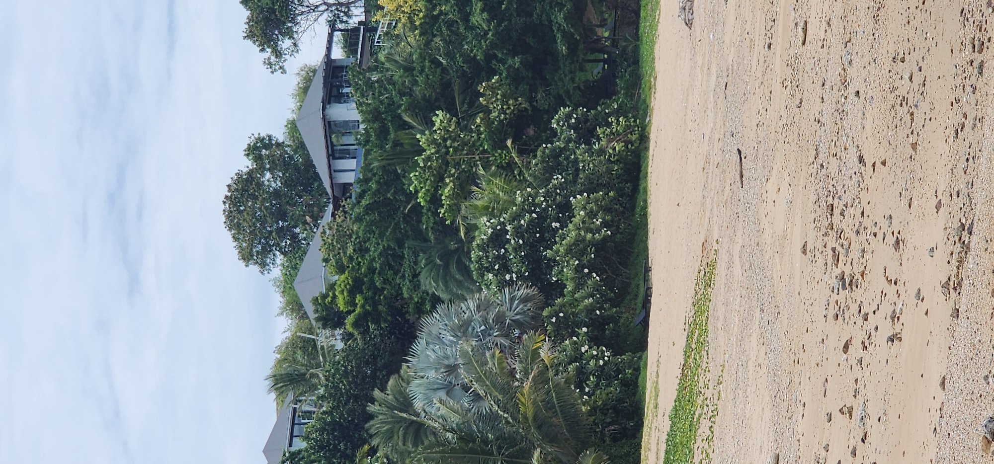 An outdoor, eye-level, vertical shot captures a sandy beach in the foreground. A dark-colored lounge chair is positioned on the sand. Beyond the beach, lush green vegetation dominates the scene, featuring a variety of trees and flowering bushes. Several modern houses with gray roofs are nestled among the trees on a hillside. The sky above is overcast with light clouds. The image appears to have been taken in the Ko Samui District of Thailand.