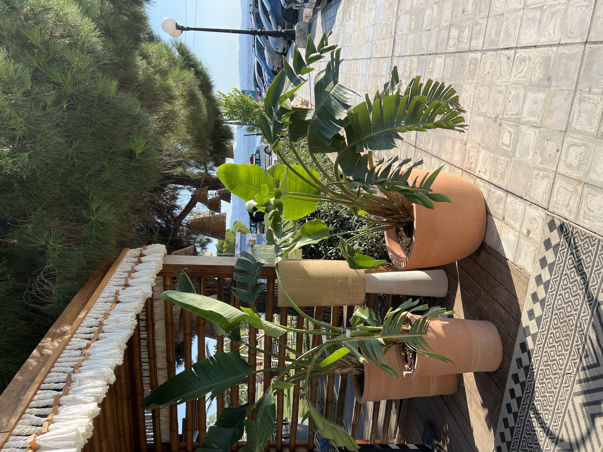 The image depicts an outdoor scene in Eretria, Greece, featuring a covered seating area with a wooden structure adorned with white tassels and hanging basket-like lamps. Two large potted Bird of Paradise plants are prominently placed on a wooden deck, with a patterned outdoor rug partially visible. Beyond the seating area, a paved walkway lines a street with parked cars, a lamppost, and a view of distant mountains and the sea. The environment suggests a coastal or beachfront location, likely a restaurant or cafe, bathed in bright sunlight. There are no people visible in the frame.