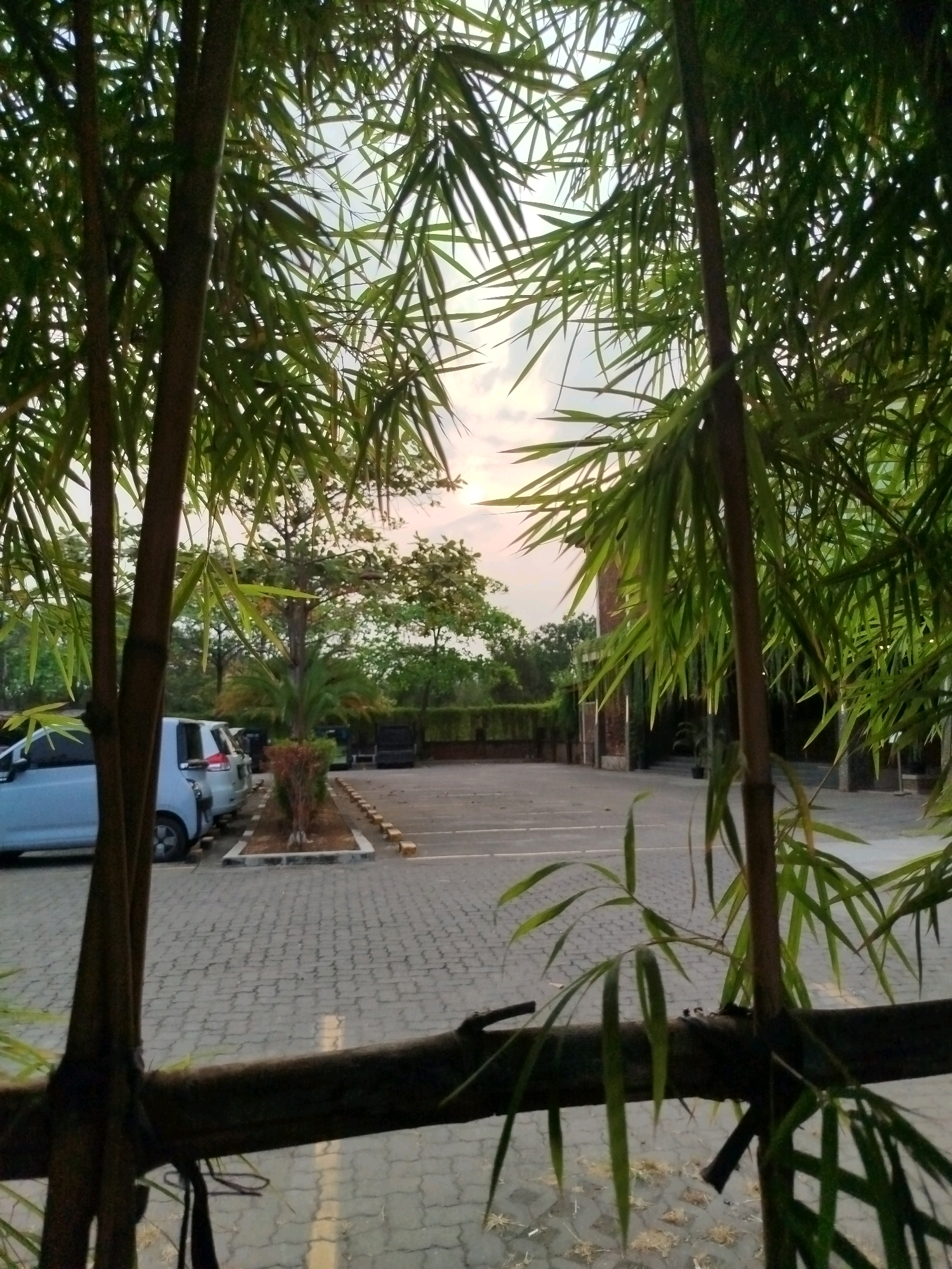 The image depicts an outdoor parking lot in Bugangin, Indonesia, viewed through a screen of bamboo foliage. Several cars are parked in the lot, which is paved with interlocking bricks. The sky is overcast with a hint of sunset colors peeking through. The foreground is dominated by the vertical stalks and drooping leaves of bamboo plants. In the background, trees and some buildings are visible. There are no people visible in the image, and no discernible actions or interactions are taking place. The overall scene suggests a quiet, possibly late afternoon or early evening moment.