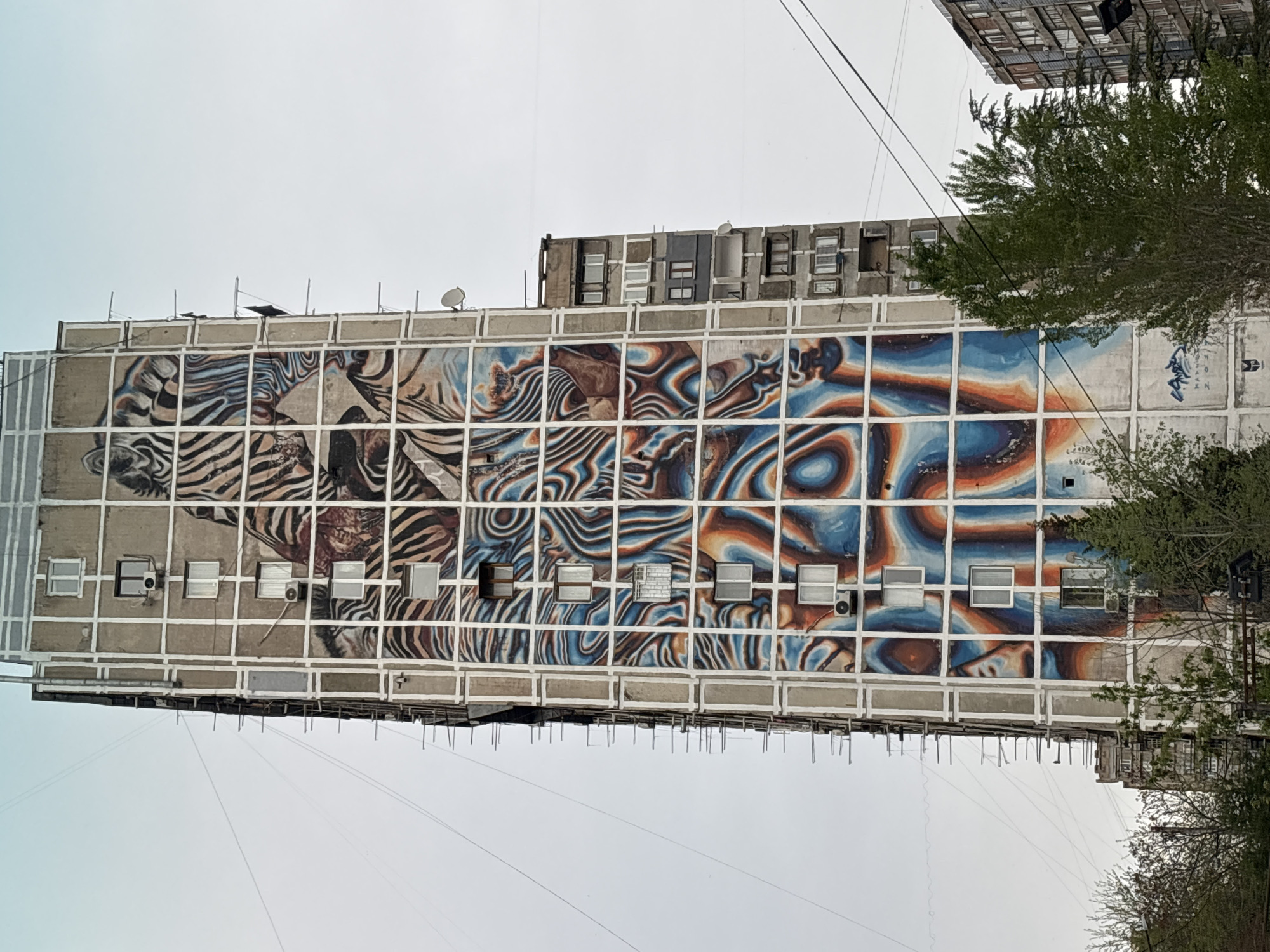 The image displays a tall, multi-story concrete building in an urban setting, featuring a large and colorful mural on its facade. The building's exterior has a prominent grid-like structure of concrete frames.
The mural itself is a striking blend of figurative and abstract art. On the left side, a stylized depiction of a zebra or a striped animal, possibly a tiger, is visible, rendered with bold black, white, and muted brown stripes. Towards the right, the mural transitions into an abstract composition of flowing, organic shapes in vibrant blues, oranges, and earthy tones, creating a dynamic, almost liquid effect. Within these abstract patterns, subtle hints of human faces or profiles can be discerned.
Numerous windows are interspersed across the building's facade, some cutting into the mural, and others located in the unpainted concrete sections. Several of these windows are fitted with external air conditioning units. The building's roofline also features satellite dishes and various antennas.
The sky is overcast and light grey, indicating a cloudy daytime scene. Green foliage from trees partially obscures the building on the right side of the image. Thin utility wires are visible against the sky. Faint, faded markings or graffiti, possibly including "ON" or "ON4" and a symbol, are visible on the far right, unpainted section of the mural. The setting is Tbilisi, Georgia.