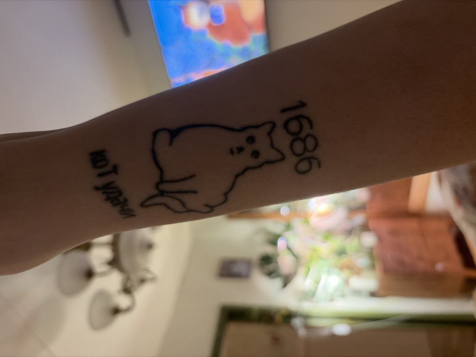 A forearm displays a tattoo. The tattoo includes a simple line drawing of a seated cat with a somewhat startled expression. Next to the cat is the number "1686" rendered in a similar line style. Below the cat are two Cyrillic words stacked vertically; they read "Кот України". The background is blurry and shows a room with a lamp and a television.