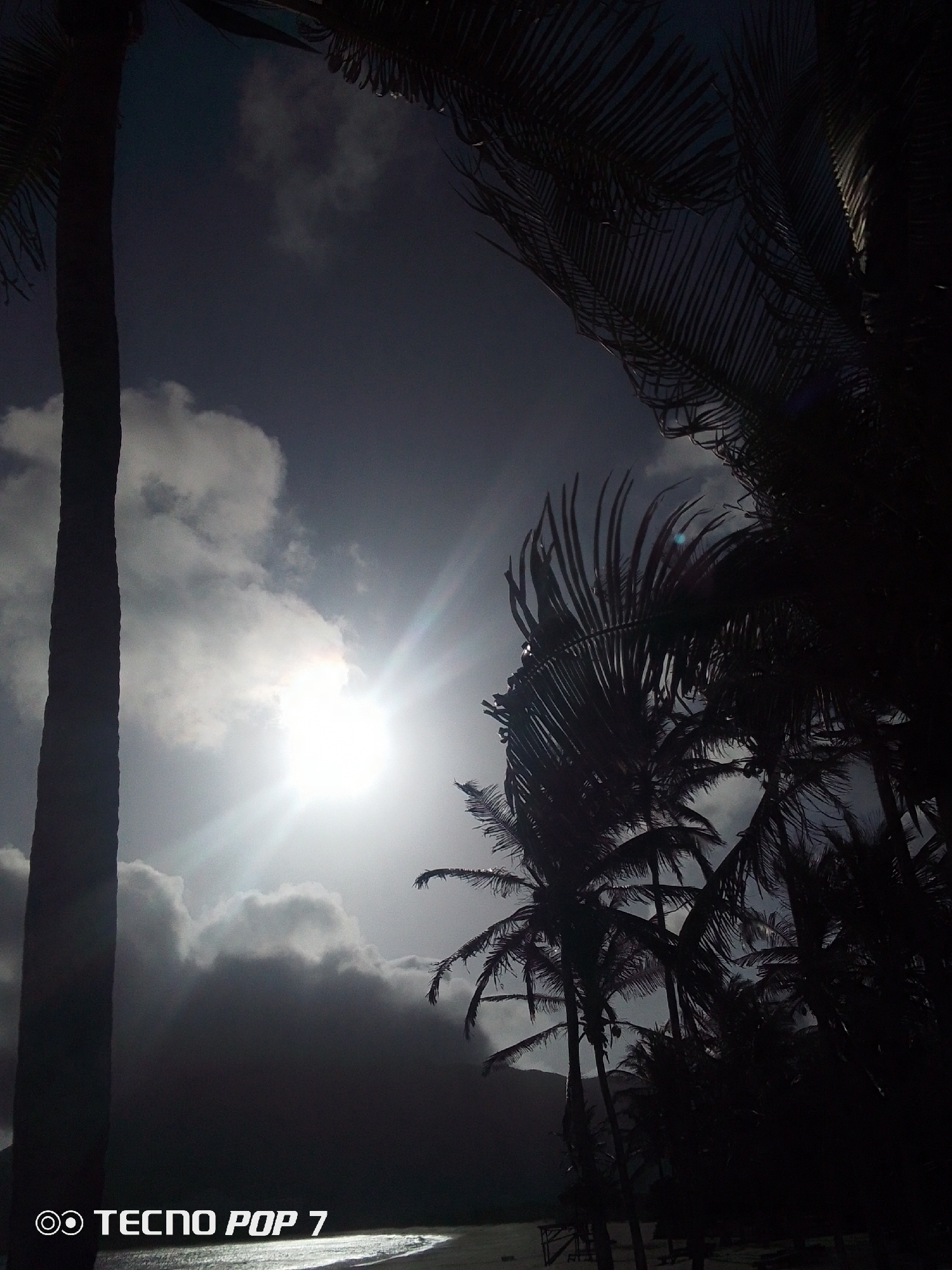 This image is a low-angle, monochrome outdoor scene in Pedro González, Venezuela. The bright sun is visible through cloudy skies, with light rays shining through. Silhouetted palm trees dominate the view; a tall, thick trunk on the left, and clusters of trees on the right and in the middle. The foreground shows a dark sandy beach and the bottom edge of a body of water. "TECNO POP 7" is printed in white at the bottom left corner. The image is underexposed.