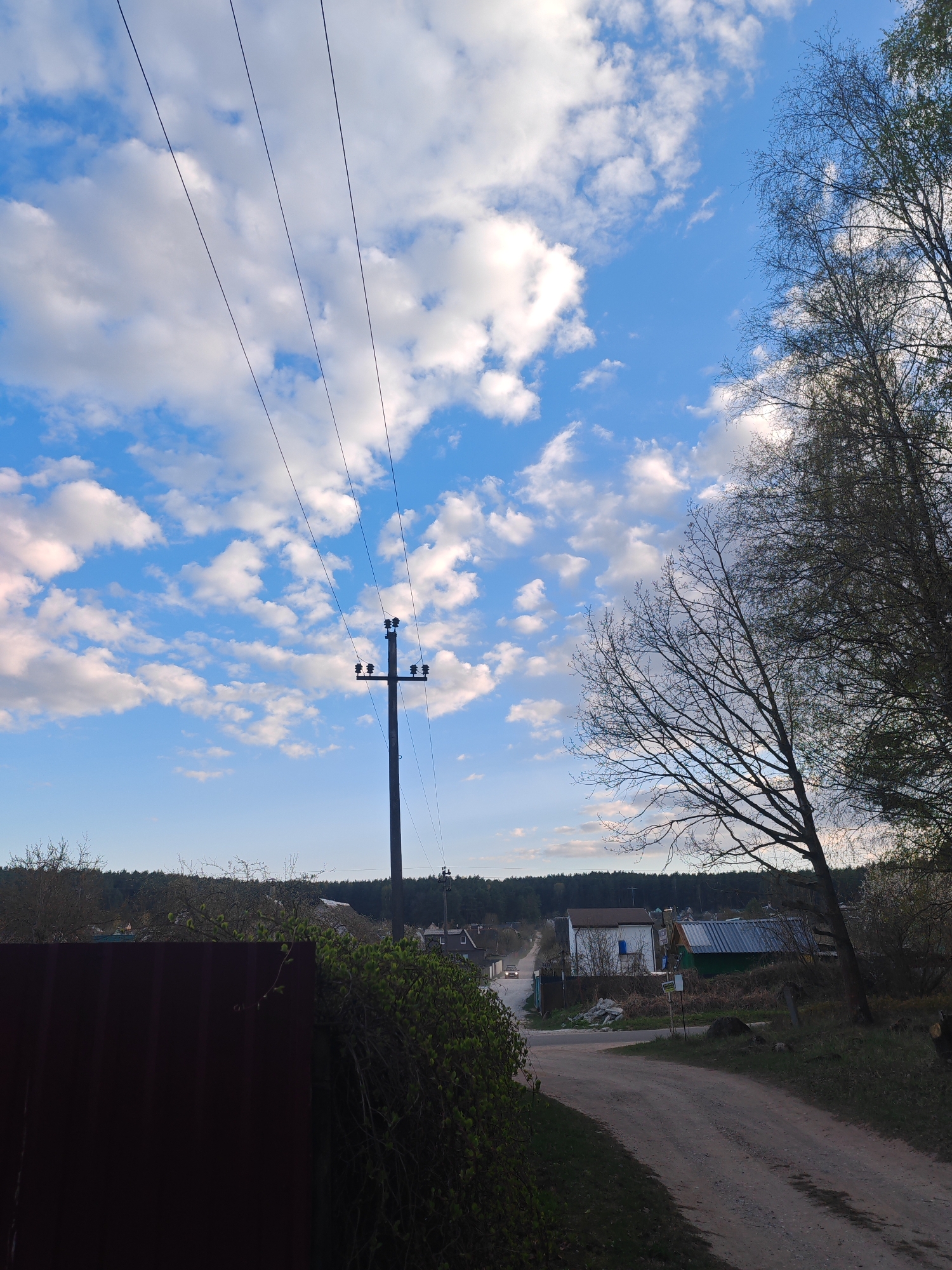 This image presents a serene rural village scene in Квасоўскі сельскі Савет, Belarus, captured during what appears to be late afternoon or early evening. The sky dominates the upper portion of the frame, showcasing a vibrant blue with scattered, fluffy white cumulus clouds. Several thin, dark power lines stretch diagonally across the upper left sky, converging towards a prominent dark utility pole, equipped with insulators and cross-arms, positioned in the mid-ground.
To the right, a large deciduous tree with numerous bare branches extends upwards, exhibiting early signs of spring with nascent green foliage. A dense treeline forming a forest is visible on the distant horizon. In the foreground on the left, a dark, corrugated metal fence is partially covered by green bushes and emerging leaves.
A winding, unpaved dirt road meanders into the distance on the right side of the image, bordered by grassy areas and small plants. Along this road, several small houses and buildings, some with white walls and others with colored roofs, are visible. In the far distance on the road, a light-colored vehicle is discernible, creating a faint dust trail. No people are visible. Two small signs are present near the road but any text on them is illegible due to distance. The overall atmosphere is one of tranquil rural life under a clear, pleasant sky.