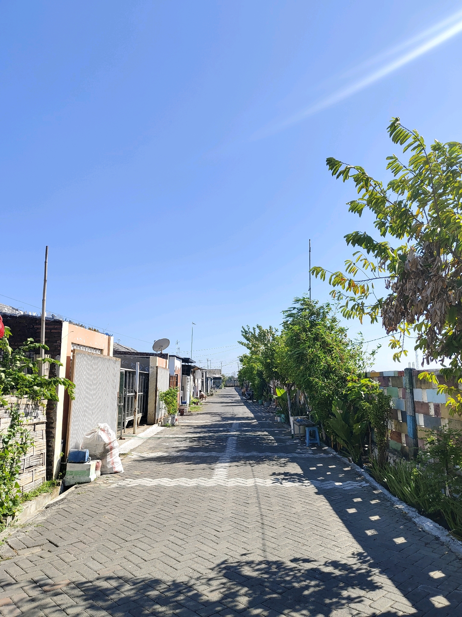 This image depicts a sunny street scene in a residential area of Probolinggo, Indonesia. The street is paved with interlocking gray bricks and features a white zigzag pattern painted on the road. On either side of the street are low-lying buildings with corrugated metal fences and walls, some adorned with colorful mosaic tiles. Lush green trees and plants line the street, casting dappled shadows on the pavement. A few plastic chairs and a white sack are visible along the roadside. The sky is a clear, bright blue with a sunbeam cutting across the upper right portion of the frame. The overall impression is one of a quiet, sunny day in a tropical urban environment.