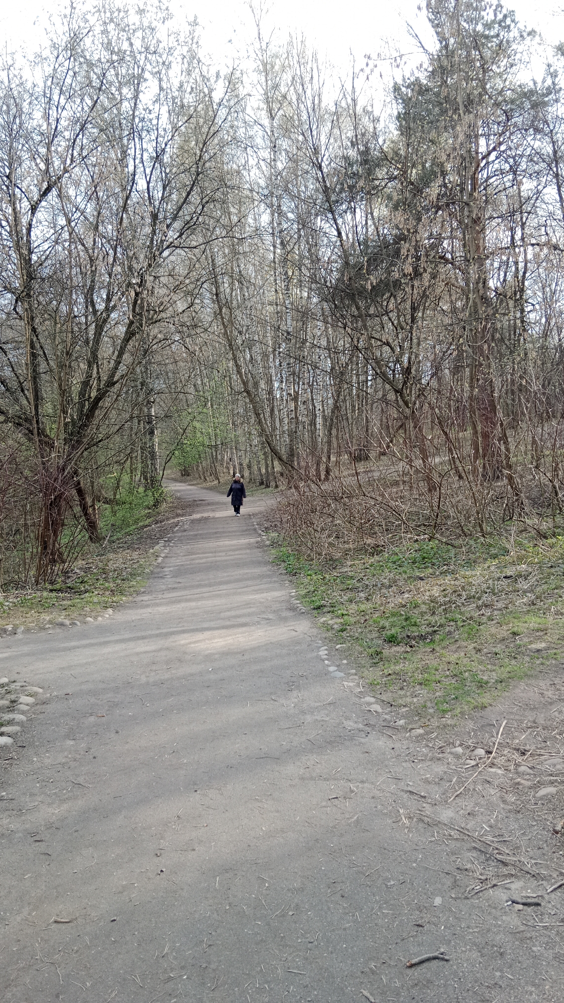This full-shot image depicts a person walking along a path in a wooded area, characteristic of a park or forest, likely in early spring. The setting is Moscow, Russia.
The central subject is a lone individual, seen from behind, wearing a dark coat and light-colored head covering, walking away from the camera. They are positioned in the middle of a winding dirt path that recedes into the distance, framed by trees on both sides.
The path itself is unpaved, composed of compacted earth and small stones, with scattered dry leaves and twigs. Along the left edge of the path in the foreground, small, light-colored stones line the boundary.
The surrounding environment is densely wooded. The majority of the trees are deciduous, their intricate, bare branches reaching up towards a bright sky, suggesting that new foliage has not yet fully emerged. However, some sparse green sprouts and very early leaves or buds are faintly visible on the ground cover and on a few trees in the mid-ground, indicating the onset of spring. Towards the right side and in the background, some evergreen trees, possibly pines, are mixed in with the bare deciduous species. The undergrowth consists of bare bushes, dry grass, and patches of new green growth.
The lighting suggests it is daytime, with a clear or partly cloudy sky providing soft, natural illumination to the scene. There is no visible text in the image. The overall impression is one of tranquility and a leisurely walk through nature at the cusp of a new season.