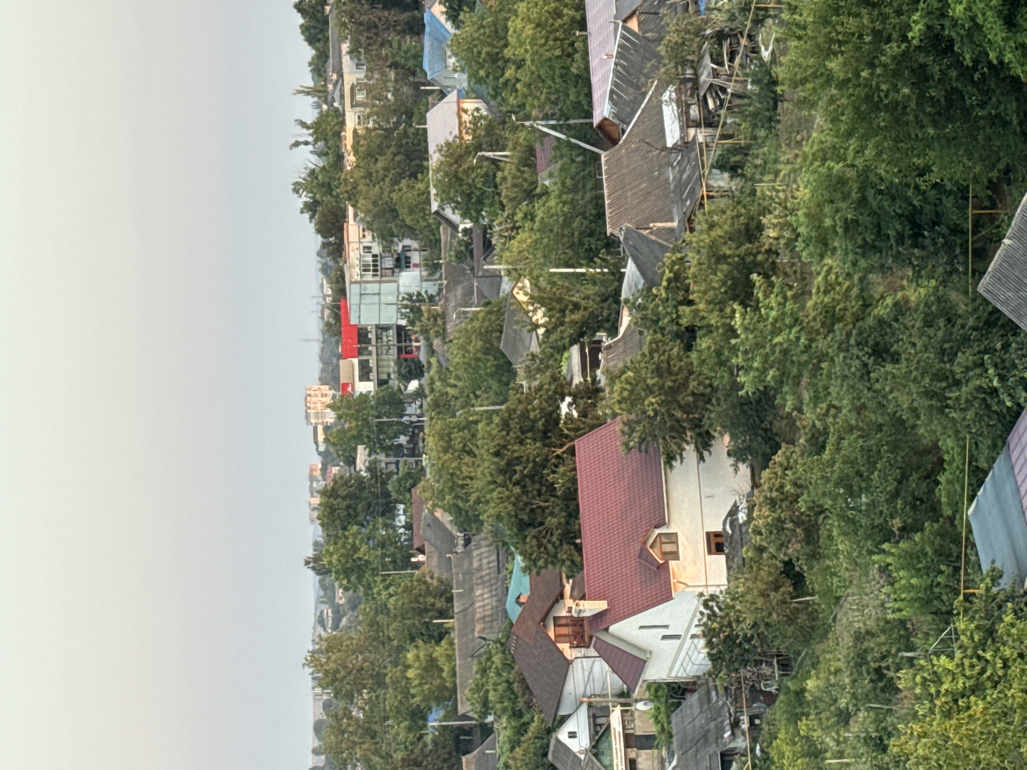 This image depicts an aerial view of a densely vegetated residential area, likely within the city of Cahul, Moldova, given the context. The foreground and middle ground are dominated by a multitude of trees and foliage, obscuring much of the ground. Several houses with pitched roofs are visible, varying in architectural style and roof material, some appearing older and weathered with grey shingles, while others are newer with red-tiled roofs. One prominent white house in the mid-right foreground features a red roof with dormer windows. In the background, larger apartment buildings with balconies and balconies are visible, some with brightly colored facades. Power lines and utility poles are interspersed throughout the scene. The overall impression is of a well-established, somewhat overgrown suburban or semi-rural neighborhood. The sky is overcast with a light, diffused glow, suggesting early morning or late afternoon light. No people are visible in the image.