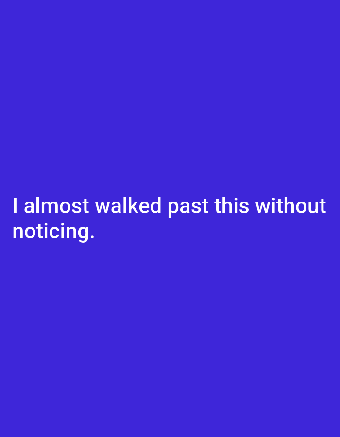 The image is a solid royal blue background with white text. The text reads "I almost walked past this without noticing." There is no city of Sonobekel, Indonesia mentioned or depicted in the image.