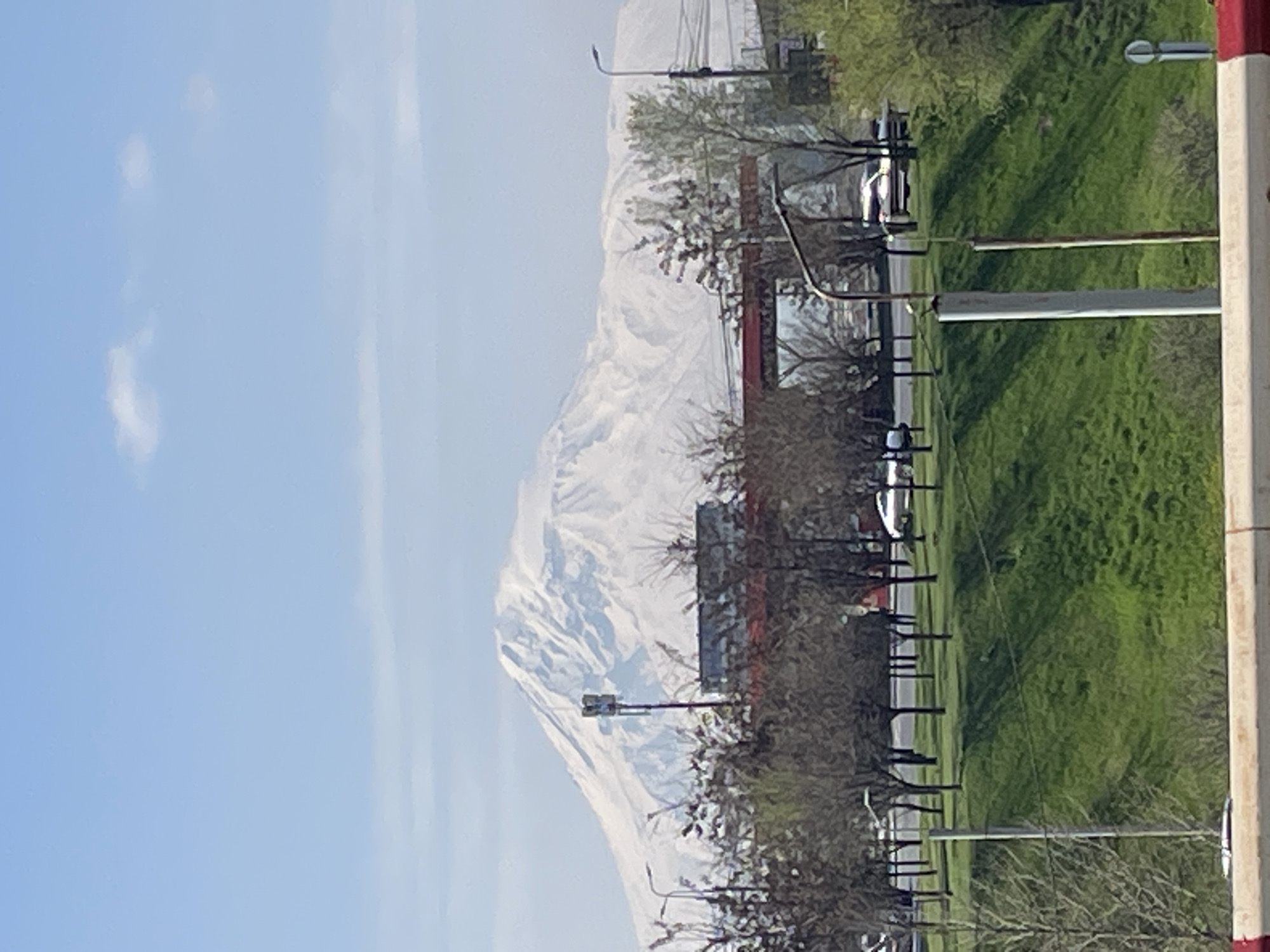 A landscape-oriented photograph shows a streetscape in Yerevan, Armenia, with Mount Ararat prominently visible in the background. The left side of the image is dominated by a bright, clear, light blue sky with very few clouds. In the foreground, a line of bare trees runs along the side of a street. Behind the trees is a strip of green grass, and beyond that, a road with cars traveling on it. In the distance, the majestic Mount Ararat stands tall, covered in snow. A red and white pole appears on the right edge of the photo. The image appears to have been taken during the day, capturing a typical urban scene with a stunning natural backdrop.