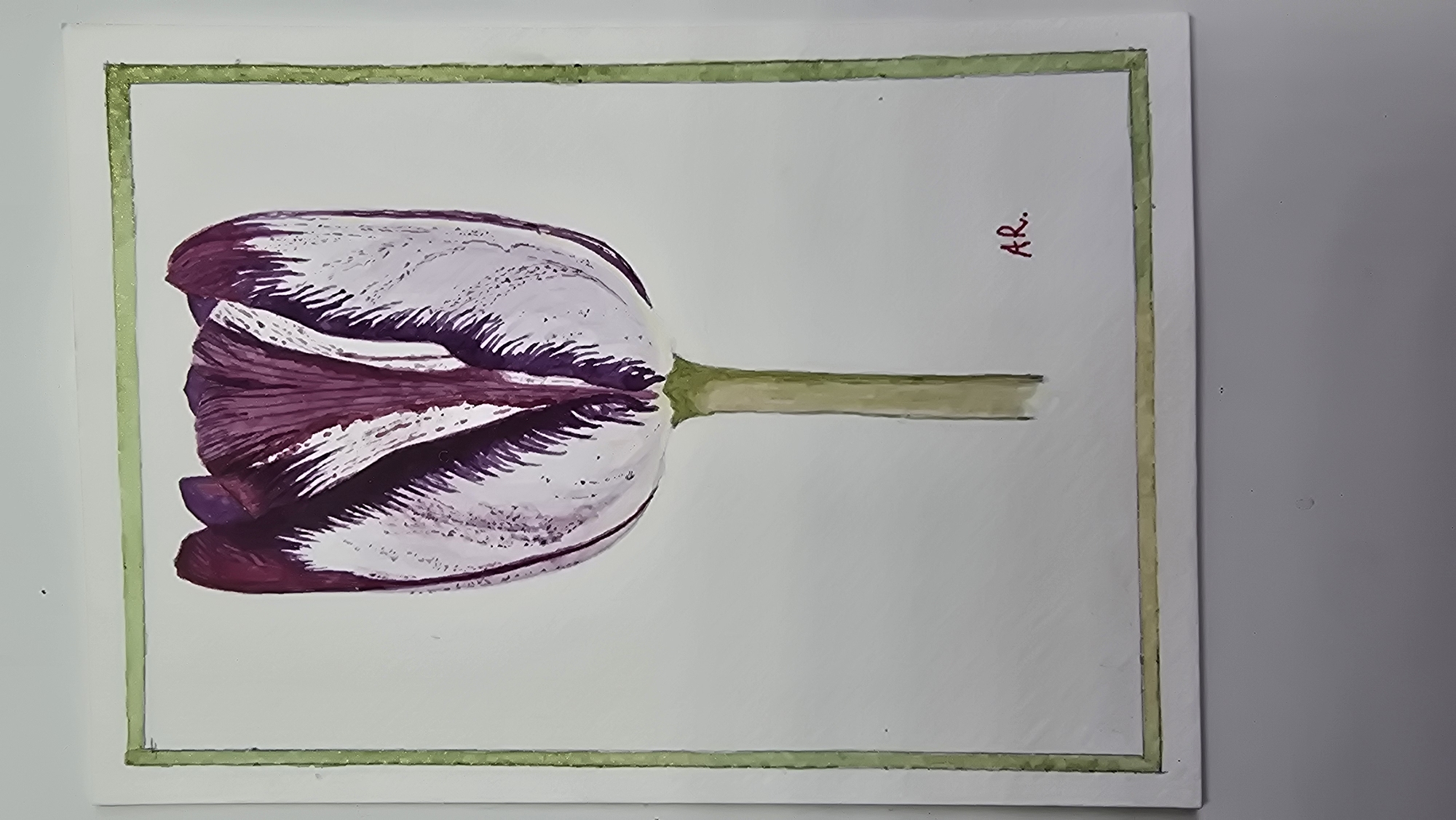 A watercolor painting of a single tulip with purple and white petals is framed by a thin green border on a white background. The tulip is depicted with its stem extending downwards. The artist's signature, "AR.", is visible in red watercolor in the lower right corner of the painting, within the border. The painting is displayed on a neutral surface. The specific location in Antwerp, Belgium, cannot be determined from the image.