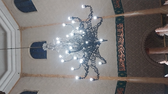 The image displays the interior of a mosque in Meulaboh, Indonesia, captured from a low-angle perspective looking upwards. A large, elaborate chandelier dominates the central frame, suspended from a high ceiling. This chandelier is constructed from dark-toned metal, featuring multiple tiers and numerous intricate, curved arms resembling twisted branches or vines, each supporting an illuminated spherical bulb.
The upper walls are light-colored, textured, and adorned with vertical decorative pilasters. Two arched windows, filled with blue-tinted glass, are visible high on these walls. Below the windows, a horizontal frieze of dark green paneling runs along the wall, inscribed with prominent gold-colored Arabic calligraphy. Beneath this frieze, the wall exhibits a subtle geometric pattern. The multi-faceted ceiling above the chandelier suggests a dome or complex structural design. In the lower portion of the image, the upper segments of arched openings or doorways supported by columns are discernible. No individuals are present in the scene.