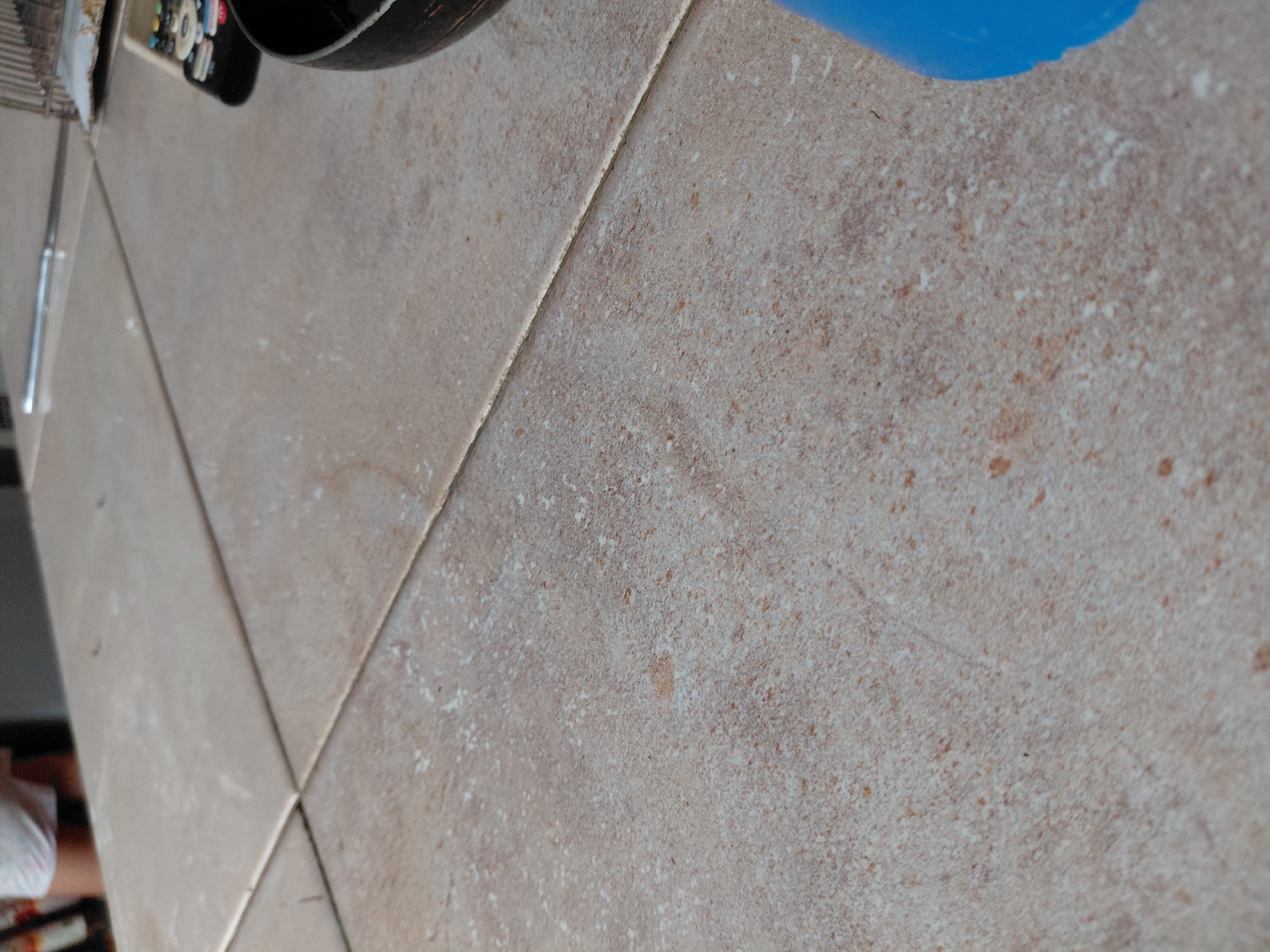 The image depicts a close-up view of a tiled floor in an indoor setting, taken in Santa Ana, Venezuela. The floor is covered with light brown or beige ceramic tiles, characterized by a speckled, slightly textured appearance. The tiles exhibit variations in color, with lighter white or greyish patches and scattered reddish-brown specks, suggesting a natural stone or rustic aesthetic.
Visible grout lines separate the tiles, appearing slightly lighter in color than the tiles themselves, and show some signs of wear or light dirt. The surface of the tiles also has visible dust or light residue.
In the upper left portion of the frame, several objects are partially visible. These include a metal object with horizontal slats (possibly part of a cooling rack or shelf), a black object with buttons, identifiable as a remote control, and a dark, curved object, potentially a pot or a pan. In the upper right, a vibrant blue object, likely a plastic container or part of an item, can be seen. The lower left corner shows a glimpse of a person's foot or lower leg, wearing what appears to be white footwear or a sock.
No specific activity is clearly discernable, and the image primarily focuses on the floor and its immediate surroundings. There is no visible text, and the time of day, weather, or emotions cannot be determined from the provided media.