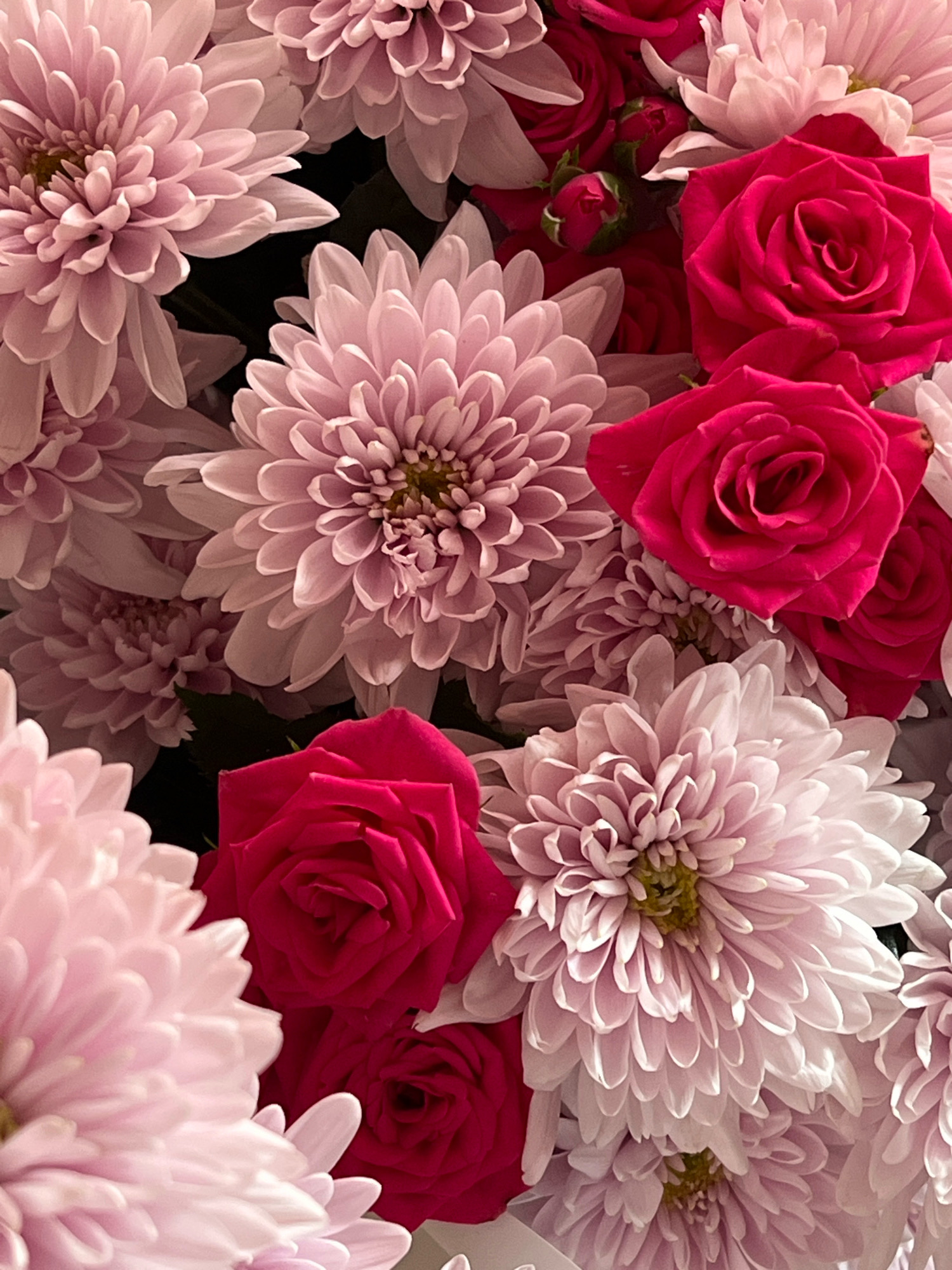 A close-up, overhead, eye-level, full-frame shot captures a vibrant bouquet of pink chrysanthemums and deep pink roses. The flowers are densely packed, with some petals slightly blurred due to shallow depth of field, while others are in sharp focus. The overall lighting is soft and even, highlighting the rich textures and colors of the blossoms. No specific location in Orsha, Belarus is discernible from the image.
