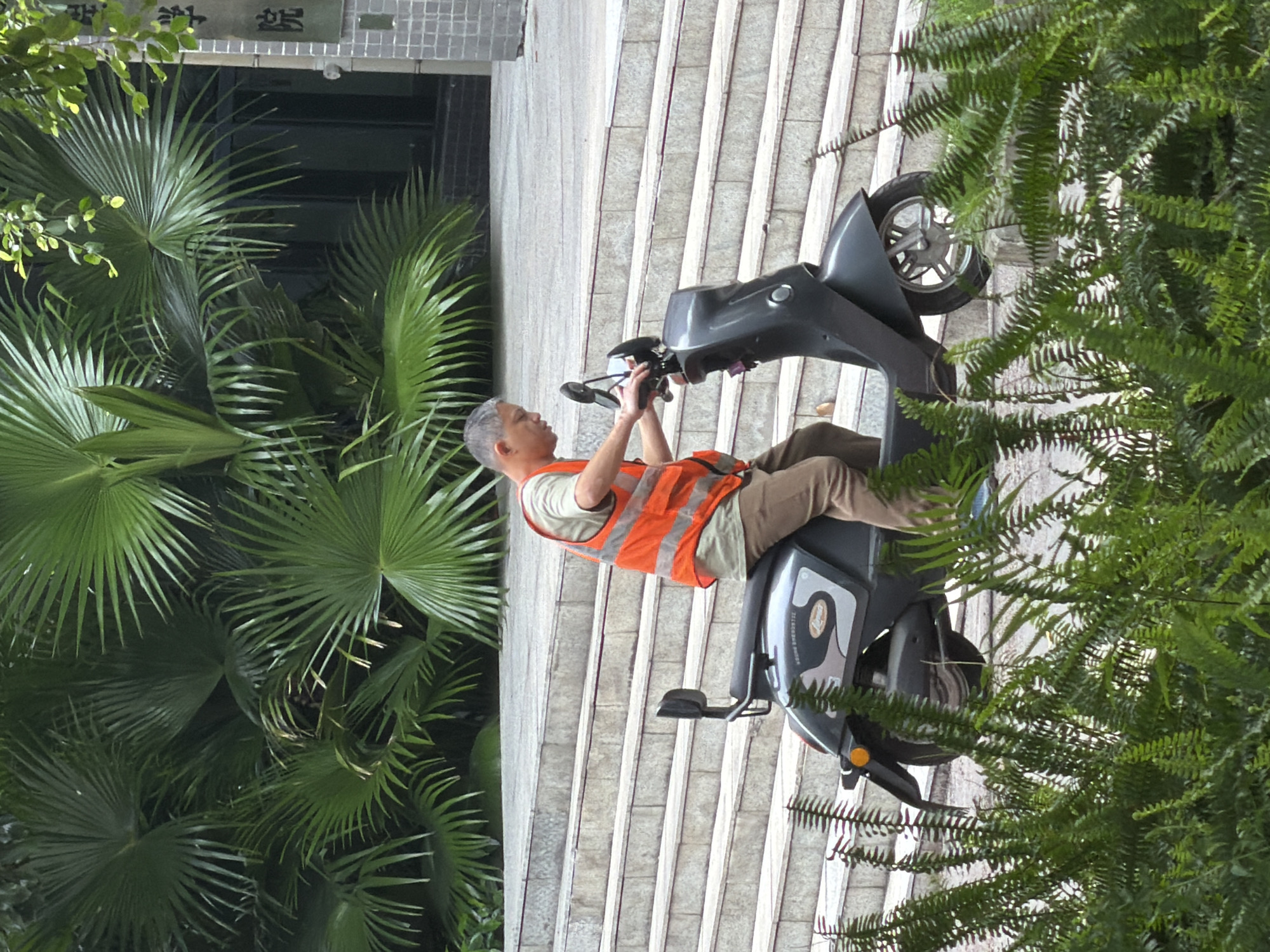 A middle-aged East Asian man with gray hair wearing a light brown t-shirt and an orange safety vest is sitting on a dark gray electric scooter on a paved outdoor staircase. He is looking down at the handlebars of the scooter. The scooter has a black seat, a black backrest, and a rear fender with a yellow reflector. In the foreground, lush green ferns are obscuring the lower portion of the image. In the background, large palm fronds are visible, and a portion of a building with tiled walls and visible Chinese characters is present. The scene appears to be in Jiangjin, China, based on contextual information.