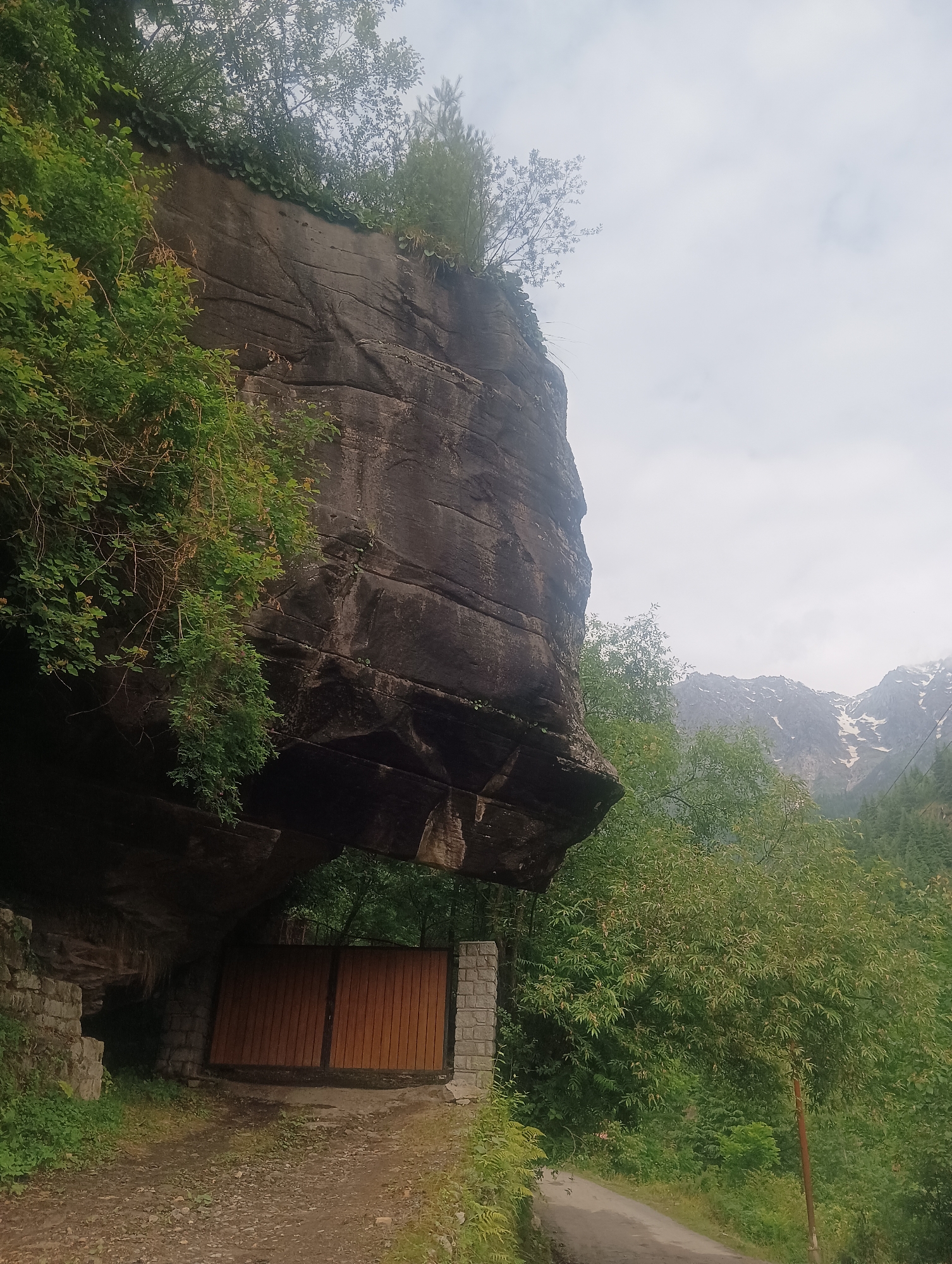 The image shows a natural rock overhang with a wooden gate beneath it. The rock is large and imposing, with visible layers and cracks. Vegetation, including trees and vines, grows on and around the rock. A dirt path leads up to the gate, and a paved road is visible to the right of the scene. In the background, mountains with snow-capped peaks and lush green trees can be seen. The sky is overcast. The location is identified as Shanag, India. There are no people or animals present in the image.