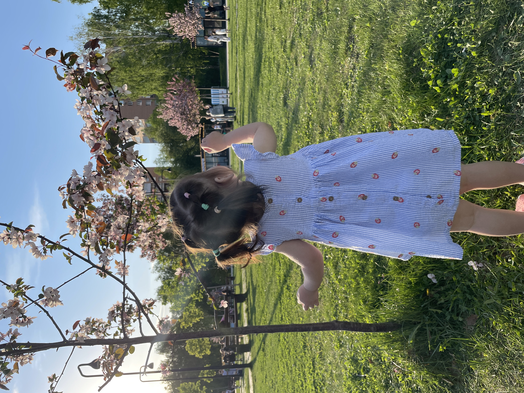 A young child, likely a girl due to the dress, is standing on green grass in a park-like setting. She is wearing a blue and white striped dress with a pattern of small red and brown objects. Her hair is dark brown, partially pulled back with small, colorful hair ties. She is facing away from the camera and appears to be reaching towards or touching a tree branch covered in light pink blossoms. The branch is on the left side of the image, extending towards the sky.
In the background, there is a grassy field with trees and other vegetation. A few people are visible further back in the scene, but they are somewhat blurry and indistinct. A building can be seen through the trees.
The lighting suggests it is daytime, with sunlight casting shadows on the grass.
While the specific location within Izhevsk, Russia cannot be definitively determined without additional context or information about the park's landmarks, the general characteristics suggest an urban park or green space with trees, grass, and flowering trees.