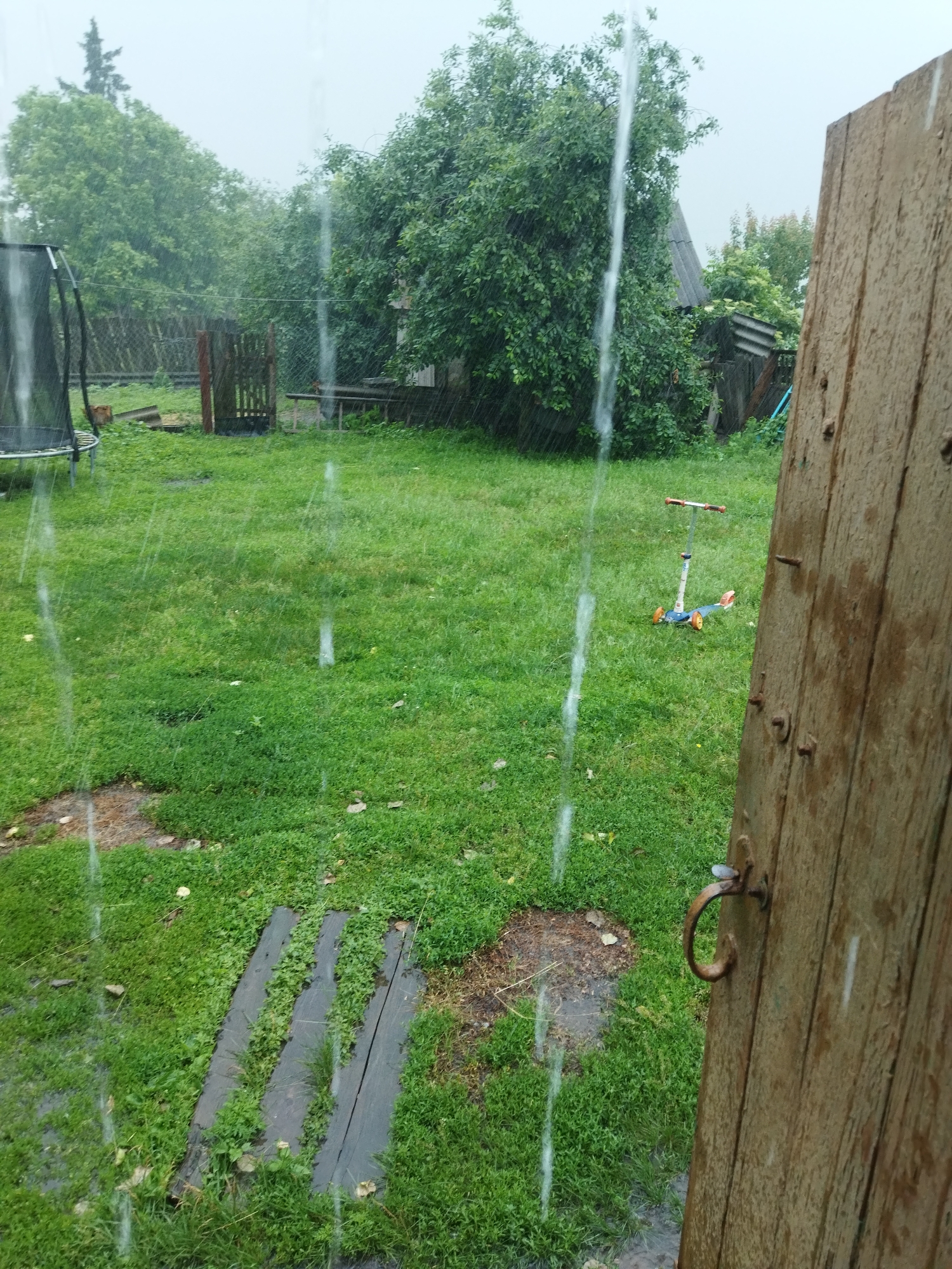 The image depicts a backyard scene during a rain shower. The foreground is dominated by a weathered wooden door on the right, with a rustic metal handle. In the background, a lush green lawn is visible, dotted with patches of darker earth. A small, colorful scooter with orange wheels stands on the grass. Further back, trees and foliage create a natural backdrop, and a section of a trampoline with a black net is partially visible on the left. The sky appears overcast, consistent with rainy weather. The image does not contain any discernible individuals or specific identifiable landmarks that would pinpoint its exact location within Sosnivka, Ukraine, beyond it being a residential outdoor space.