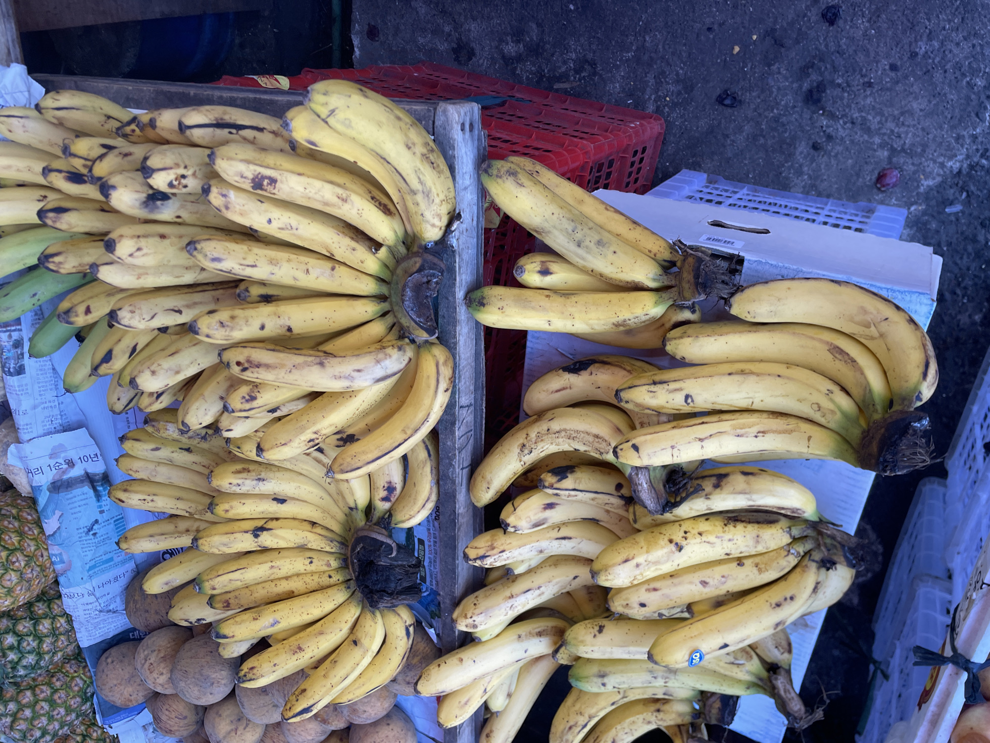 The image presents a detailed close-up of a fruit stall, presumed to be in Davao City, Philippines, showcasing a substantial quantity of ripe bananas. The majority of the frame is occupied by large bunches of yellow bananas, displaying various brown spots and blemishes consistent with ripeness and handling. These bananas are arranged on two primary levels: an upper section resting on a wooden surface, and a lower section.
On the upper left side of the frame, behind and to the left of the bananas, a pile of round, brown, rough-skinned fruits, possibly sapodilla, is visible. Above these fruits, two green-brown pineapples are partially seen. Portions of blue-tinted newspaper, featuring text in a non-Latin script, are used as a lining or covering material beneath the fruits and on the display surfaces.
The display structure includes a wooden plank serving as an elevated platform for some bananas. Beneath this platform and to the right, red plastic crates are partially visible. On the lower left, a white cardboard box or crate provides a base for other banana bunches. The ground visible in the lower right quarter of the image is dark gray concrete or asphalt, showing minor surface wear and scattered small debris. No individuals are present in the depicted scene, and no specific actions or interactions are occurring beyond the static display of produce.
