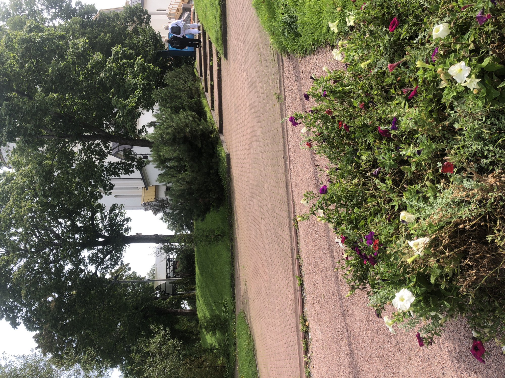 Two individuals, one wearing a black jacket and the other a white jacket, are walking up a set of stone stairs. The stairs lead towards a white building with a yellow trim, possibly a church, partially obscured by large trees. The foreground features a patch of pink gravel with a flowerbed containing various petunias in shades of white, purple, and red. A paved pathway made of red bricks is visible in the midground. The scene is set in Sestroretsk, Russia.