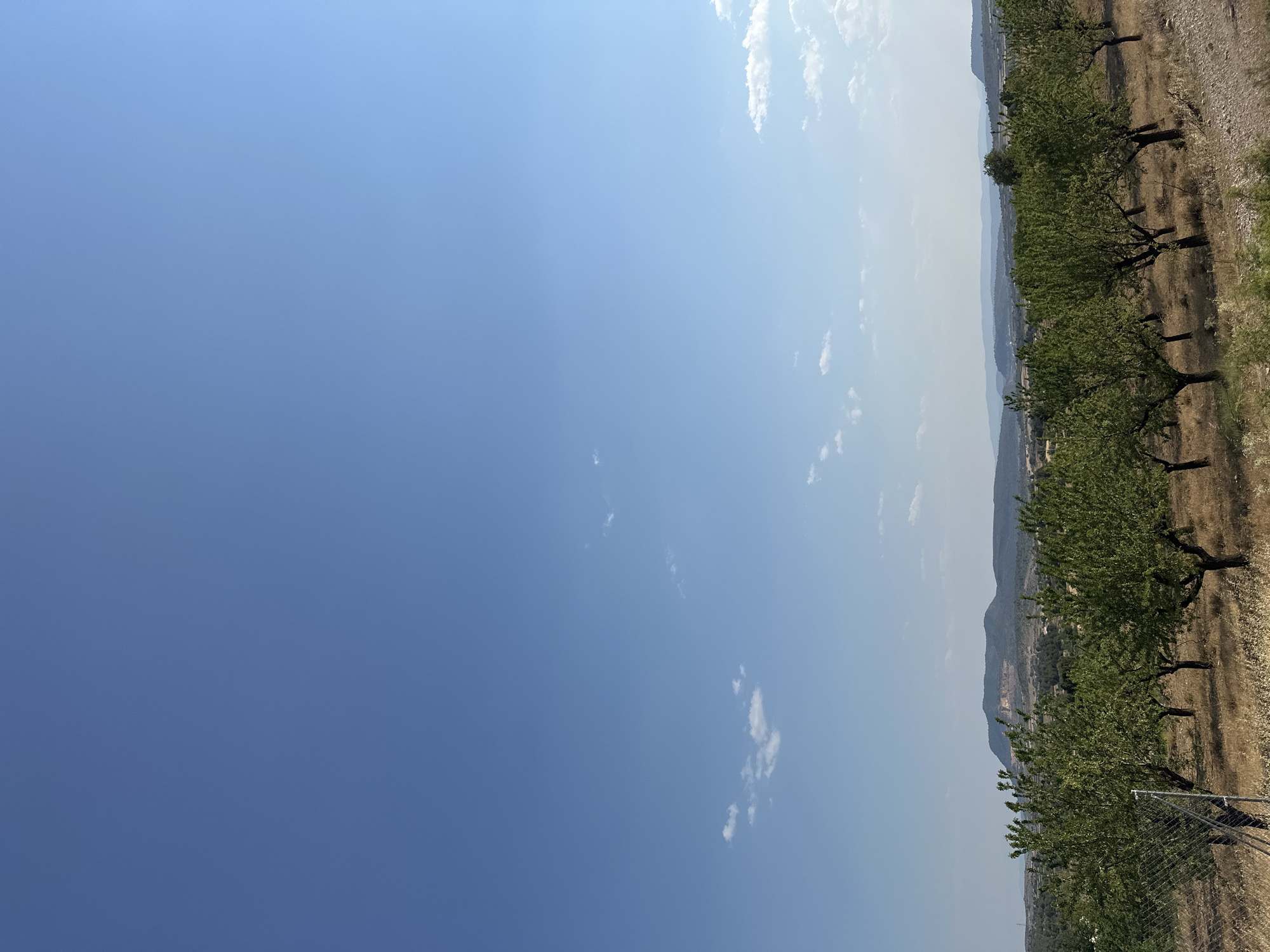 The image shows a rural landscape in Alpuente, Spain, under a clear blue sky with scattered white clouds. In the foreground, a row of mature trees, likely almond trees, stand on dry, golden-brown grass. A chain-link fence is visible to the left of the trees. Beyond the trees, the terrain slopes gently downwards, revealing more trees and vegetation in the middle ground. In the distance, a series of rolling hills and mountains form the horizon, with a large, scarred mountainside, possibly a quarry, dominating the central background. The overall impression is one of a dry, sun-drenched countryside.