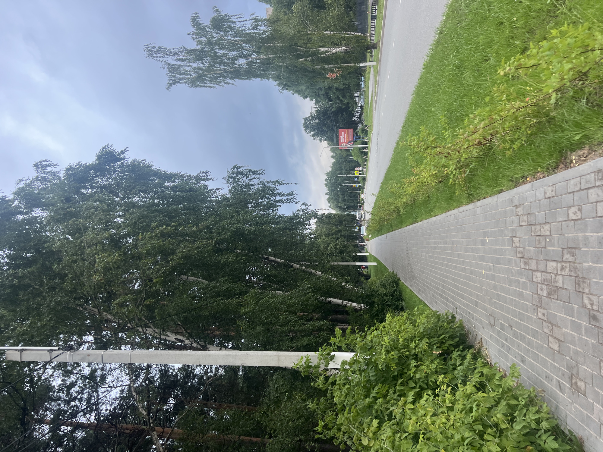 The image depicts a sidewalk adjacent to a road in Chaikovsky, Russia. A paved gray sidewalk runs along the left side of the frame, bordered by lush green bushes and trees. The sidewalk leads into the distance, where it meets a road with traffic. On the right side of the road, there is a grassy area and more trees. The sky is overcast with gray clouds. In the distance, several cars are visible on the road, and a billboard with red text is present on the right side of the road. A tall, gray utility pole stands near the beginning of the sidewalk on the left. The overall scene suggests a typical urban or suburban environment in Russia.