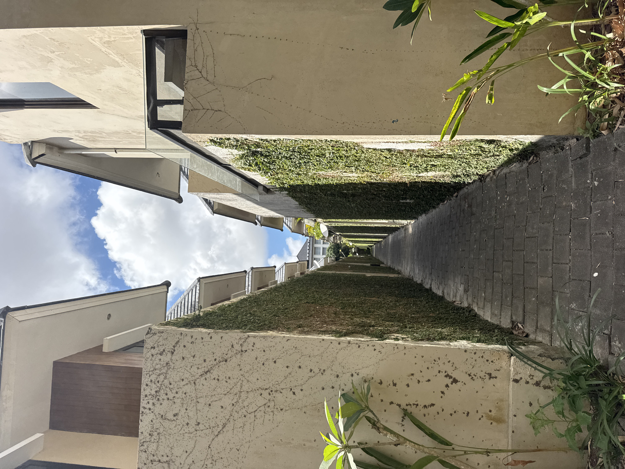 The image depicts a narrow, paved walkway bordered by two light-colored walls covered in dense green ivy. The walkway is constructed of dark gray interlocking pavers. The walls are tall and appear to be part of modern buildings with cream-colored exteriors and dark tiled roofs. The building on the left has a section with dark wood paneling. The building on the right features a modern glass balcony railing. Lush green plants, including a frangipani tree, grow along the base of the walls on both sides of the walkway. The sky above is blue with scattered white clouds. The scene is likely a pathway within a resort or residential complex in Kuta Selatan, Indonesia, given the architectural style and vegetation. No people are visible in the image.