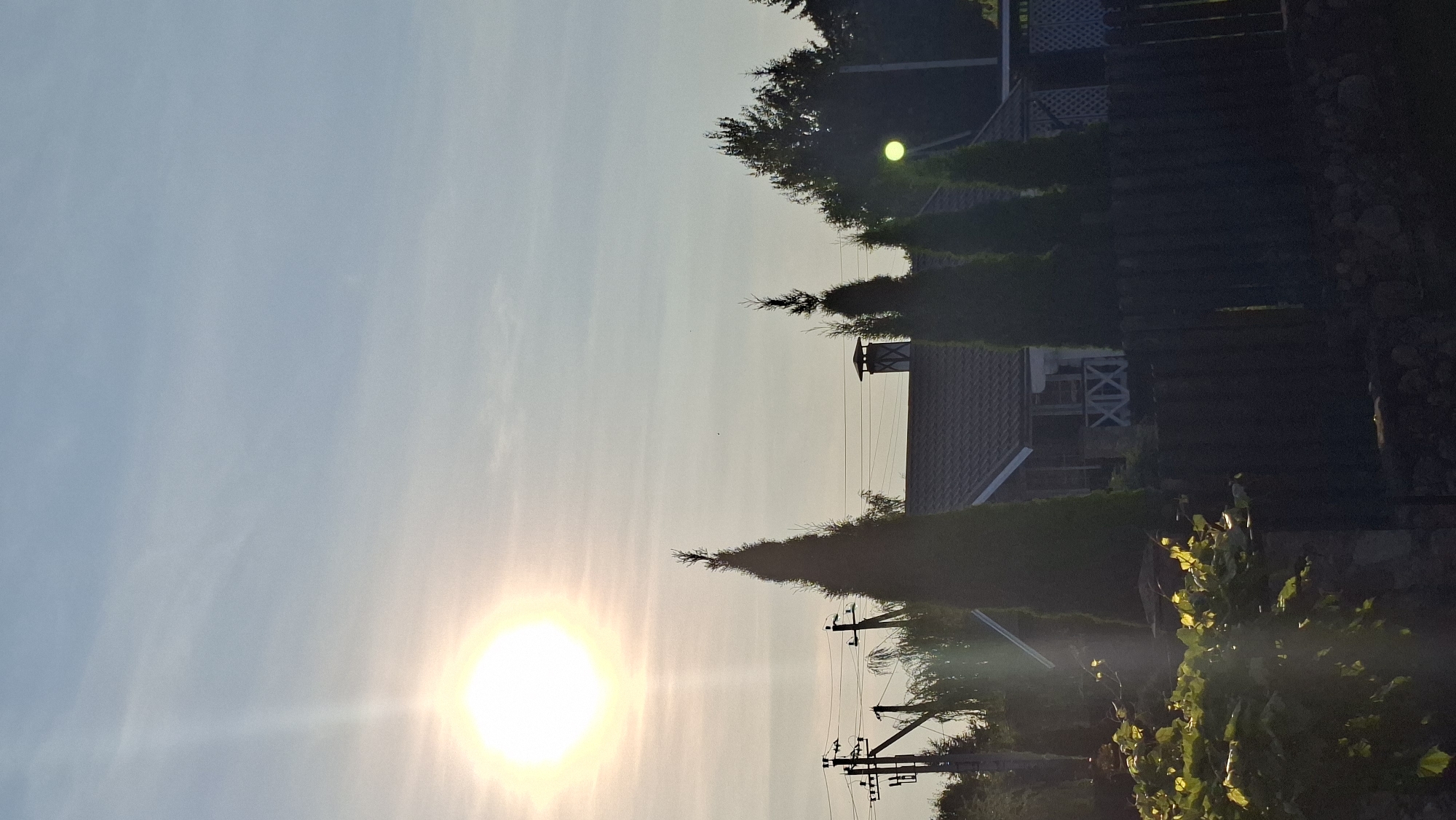 The image depicts a rural or suburban scene with a bright sun in the upper left quadrant, casting lens flare across the sky. In the mid-ground, a house with a dark roof and white decorative elements on its porch is visible, flanked by several tall, conical evergreen trees. A dark wooden fence runs across the lower part of the frame, with lush green foliage in the foreground to the left. Utility poles with wires are present on the left side of the image. The sky is a pale blue with wispy clouds. The overall impression is that of a serene, sunlit day in a residential area. The location is specified as Myadzyel, Belarus.
