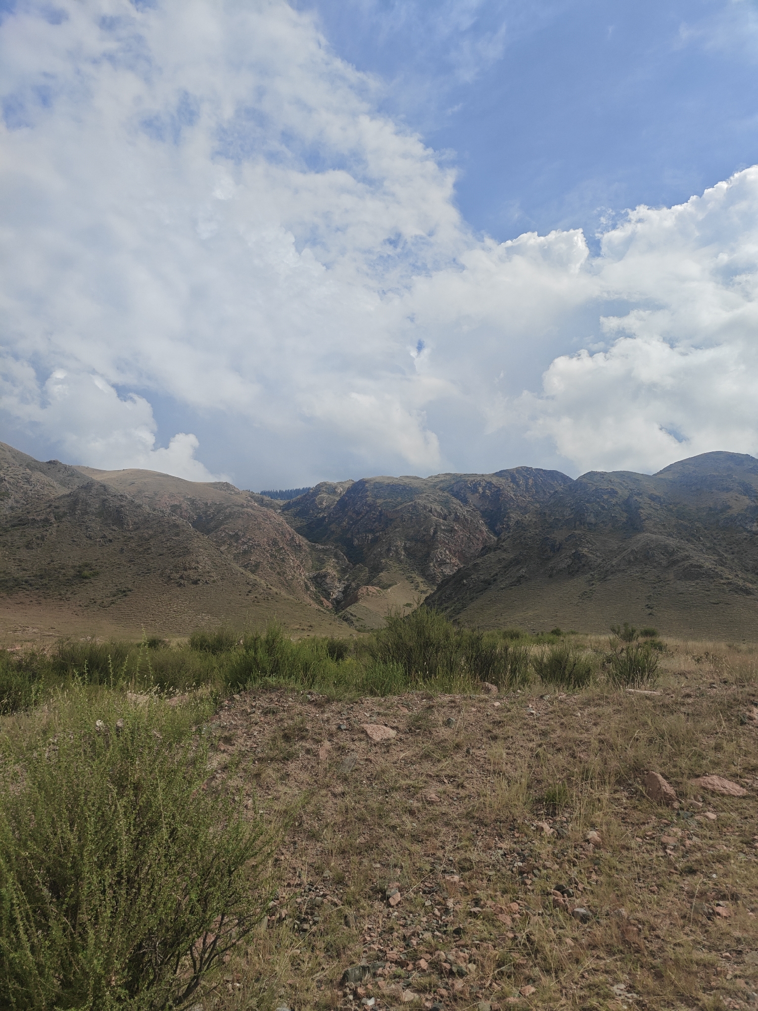 A wide shot captures a natural landscape dominated by rolling, arid mountains under a partially cloudy blue sky. The foreground features dry, brown grass with scattered pebbles and a clump of green bushes on the left. The middle ground consists of more dry vegetation and a dense line of green bushes stretching horizontally. The background is a series of large, steep mountains, their slopes covered in sparse, dry vegetation and exposed rocky areas exhibiting reddish hues in some sections. The sky above is a bright blue, with scattered white, fluffy clouds. The scene is devoid of any human presence or man-made structures, suggesting a remote, undeveloped natural environment. This scene is typical of the mountainous terrain found near Kadji Say, Kyrgyzstan.