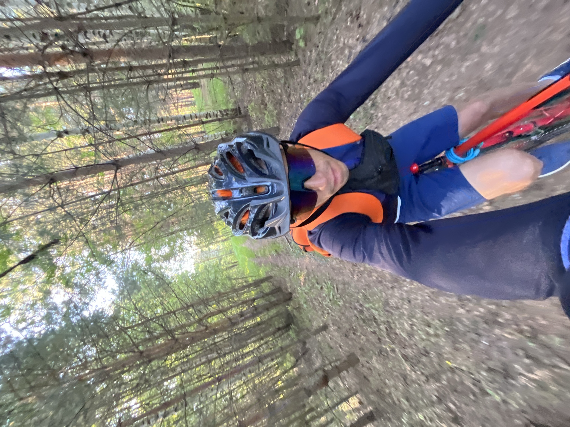 A first-person perspective shot captures a person riding a bicycle on a dirt path through a sun-dappled forest. The rider wears a dark blue long-sleeved shirt, blue shorts, a black and orange cycling helmet, and mirrored sunglasses. An orange backpack is visible, along with a black fanny pack worn across the chest. The bicycle has a bright red frame. The path is lined with numerous slender trees, some with pale bark, and the ground is covered with fallen leaves and dirt. Sunlight filters through the canopy, creating a bright, slightly hazy atmosphere. The overall impression is of a scenic outdoor activity in a wooded area. The image is not specific enough to determine a location within the city of Chaikovsky, Russia.