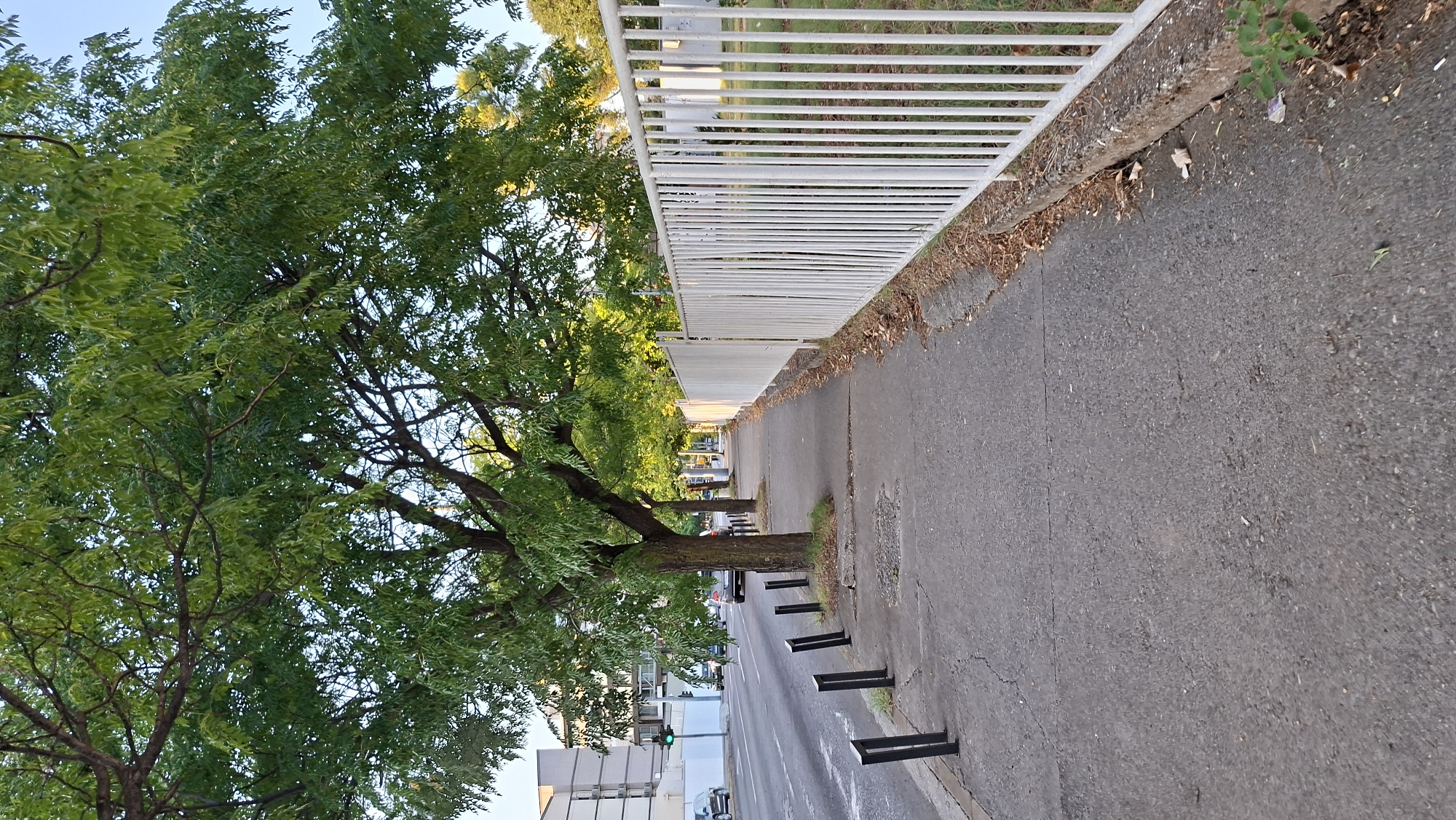 The image shows a sidewalk with a white metal fence along the right side. A street with cars is visible on the left side, with trees lining the sidewalk. In the background, a building with multiple stories can be seen. The scene appears to be in a city environment, possibly in Podgorica, Montenegro, given the context provided. The lighting suggests it is either early morning or late afternoon. There are no people visible in the immediate foreground or on the sidewalk.