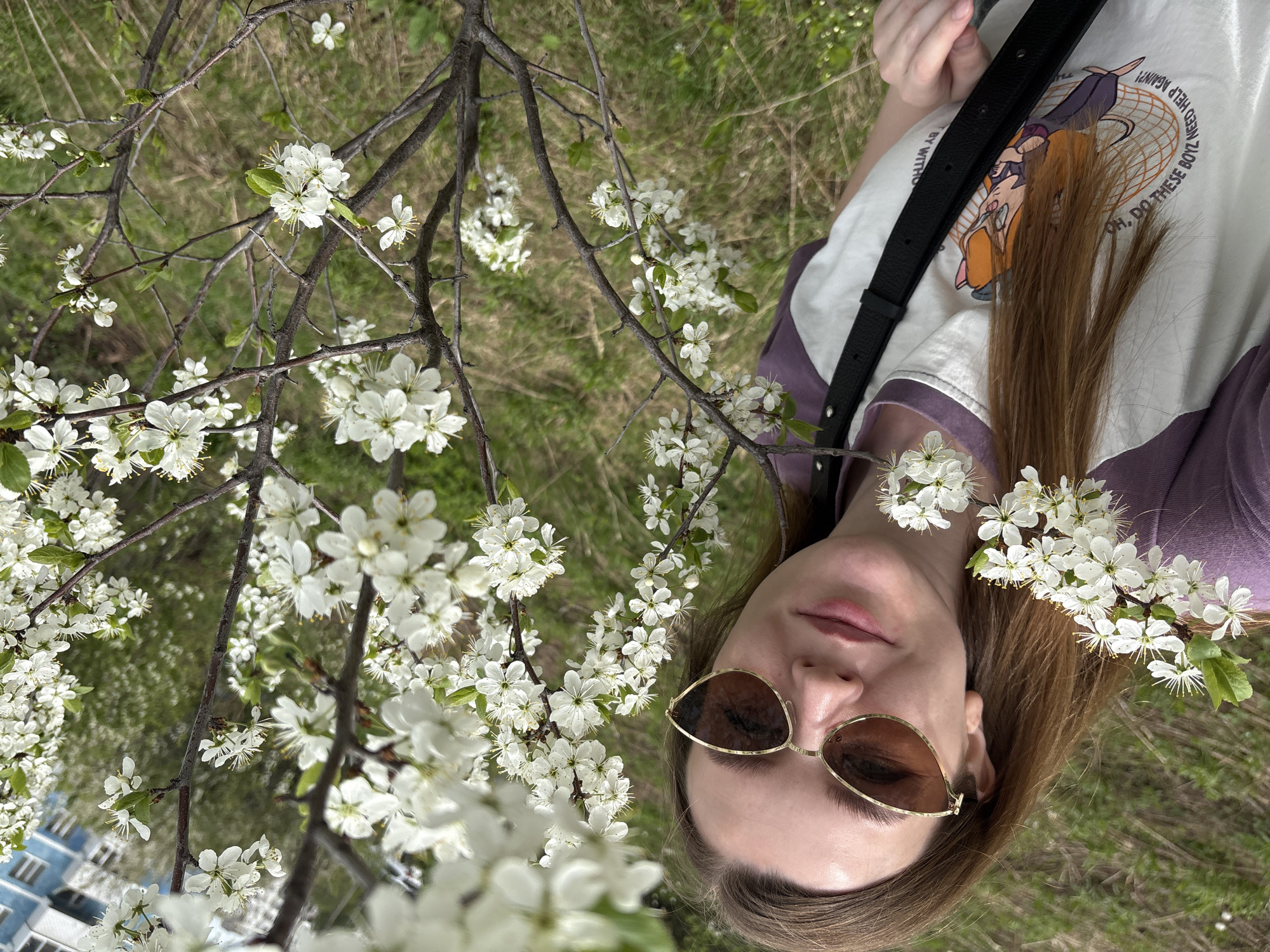 A woman wearing sunglasses and a purple-trimmed T-shirt lies in a field of grass under a blossoming tree. The white blossoms fill a large portion of the frame, with the tree branches visible. A portion of a multi-story building is partially visible in the lower left corner. The location may be in Izhevsk, Russia.