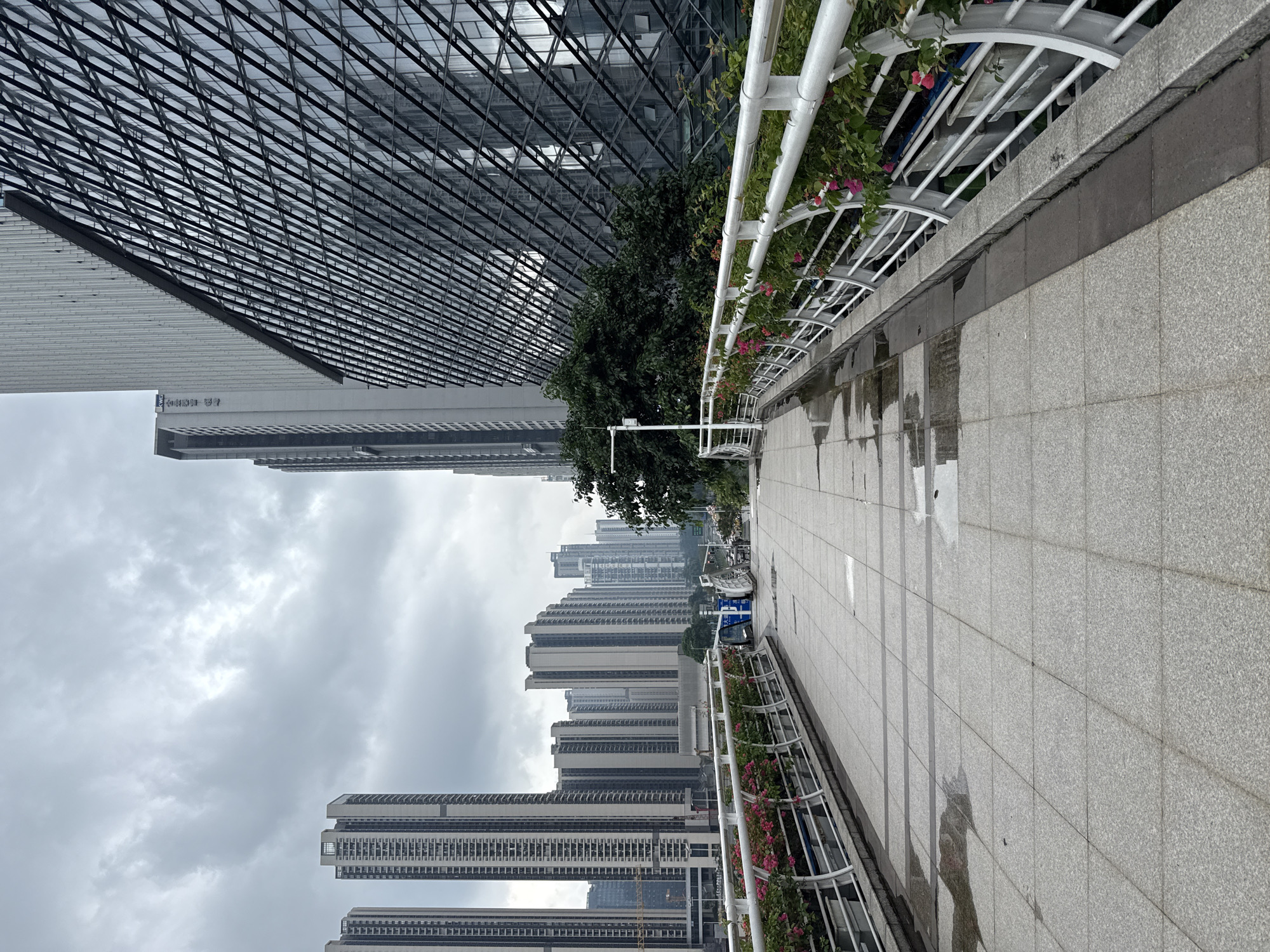 This is a vertical, eye-level, medium shot of a pedestrian walkway in the Tianhe District of China, likely after rain. The walkway is paved with large, light gray granite tiles, some of which are wet and reflect the overcast sky. The walkway is bordered on the right by a white metal railing with an ornate design, and on the left by a lower stone wall. Planters filled with green foliage and small pink flowers are attached to the railing.
In the background, a modern cityscape unfolds. To the right, a large, dark building with a facade of reflective glass panels, crisscrossed by a diagonal pattern of dark frames, dominates the view. To the left and behind the walkway, a dense collection of tall residential and office buildings, mostly light-colored with numerous windows, stretches into the distance. These buildings vary in height and architectural style.
The sky is overcast and a dull gray, suggesting a cloudy or rainy day. There are no people clearly visible in the foreground or midground, though a few figures might be discernible further down the walkway in the distance. The overall impression is one of urban development, with a focus on modern architecture and infrastructure.
