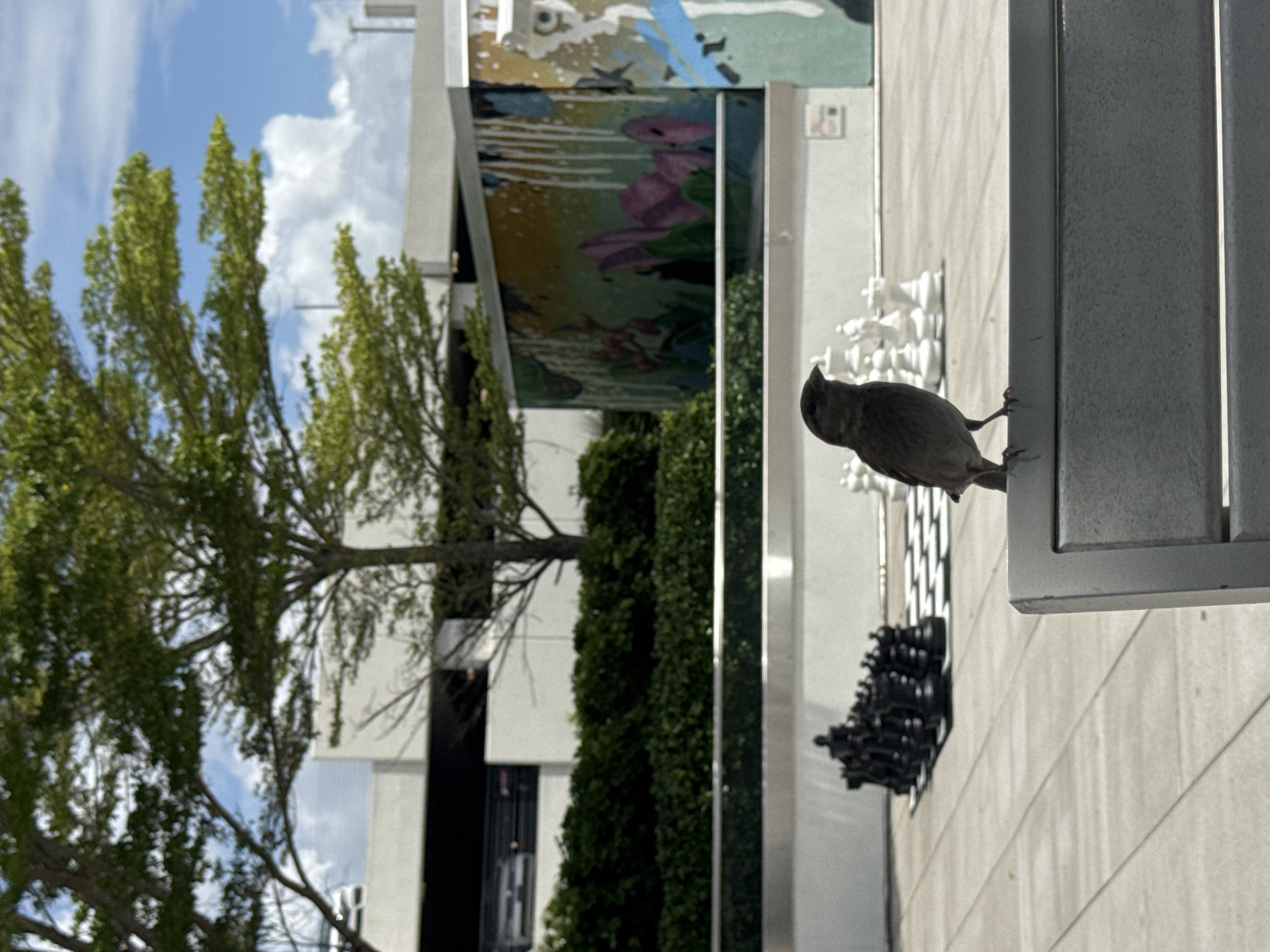 A small bird, likely a sparrow, is perched on a gray bench in the foreground, facing left. Behind the bird, a large outdoor chessboard is set up with black and white chess pieces. In the background, there is lush green shrubbery, a building with a mural on its wall, and trees. The sky above is blue with scattered white clouds. The scene appears to be a public space, possibly a park or a plaza, located in Hallandale Beach, United States of America.