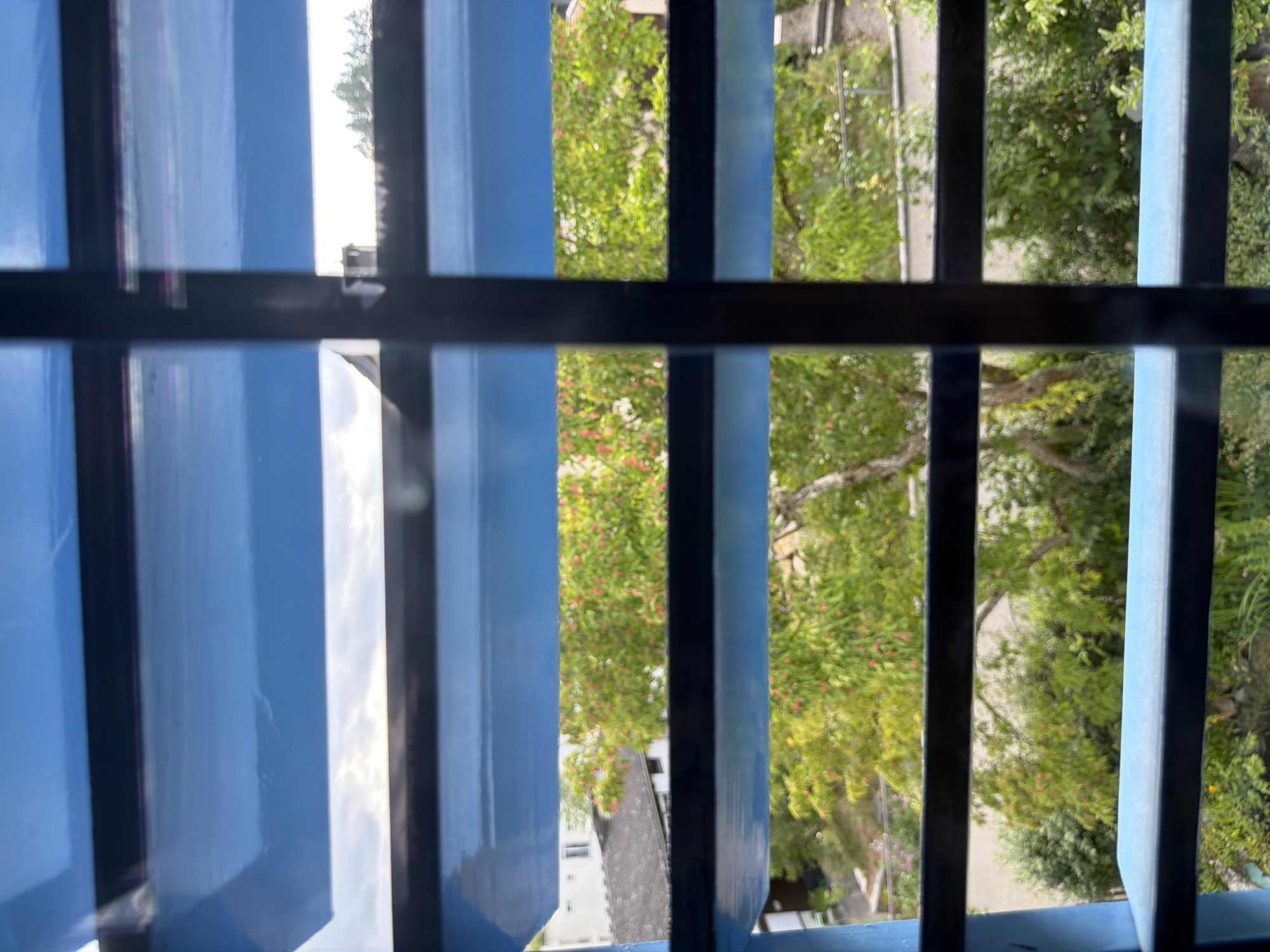 The image is taken through blue horizontal blinds, looking out at a residential area. In the distance, a chimney is visible above the rooftops of houses. The foreground shows lush green trees with some pink blossoms, suggesting a spring or summer season. The overall scene depicts a tranquil view from a window in Schaffhausen, Switzerland.
